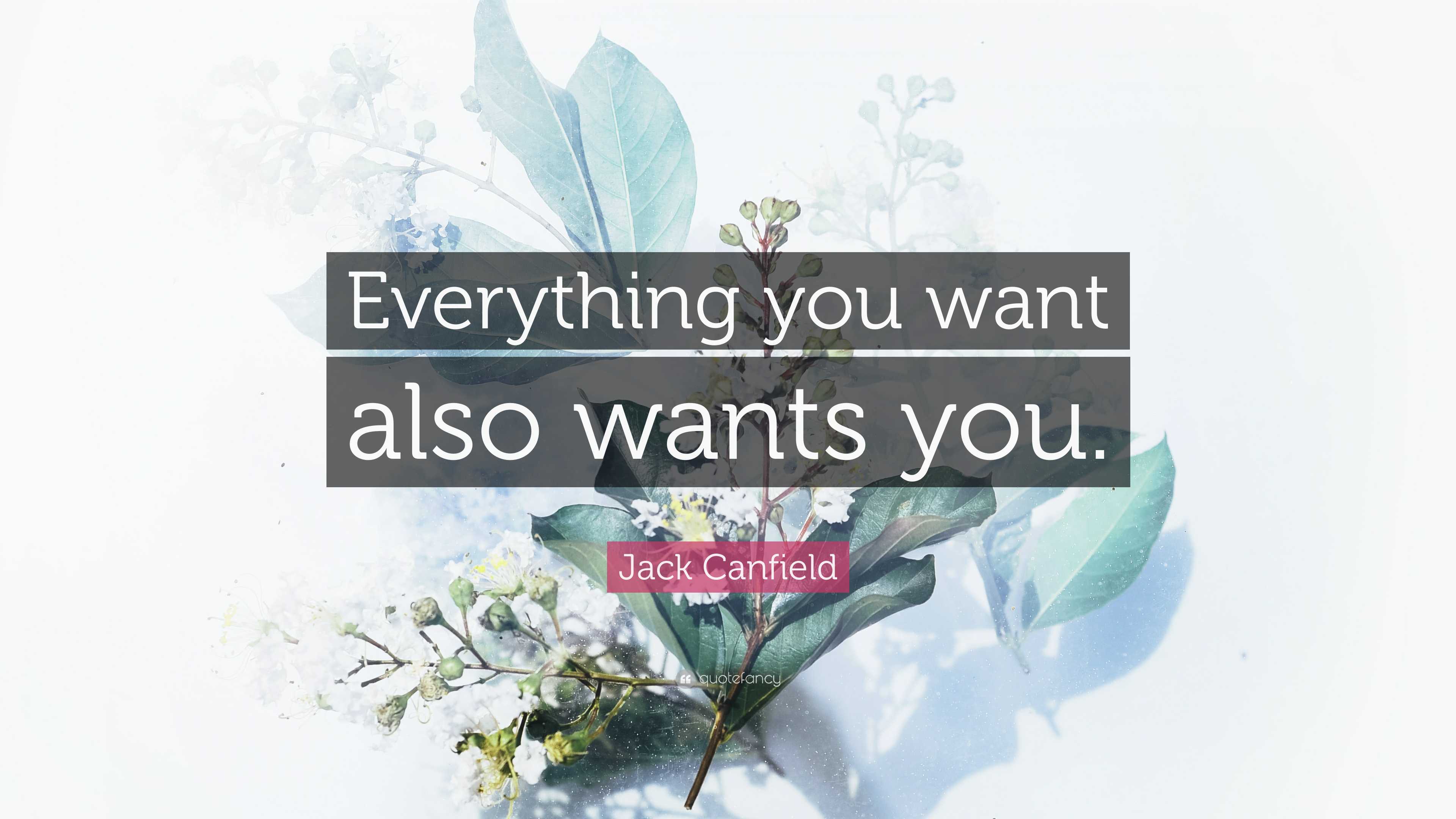 Jack Canfield Quote: “Everything you want also wants you.”