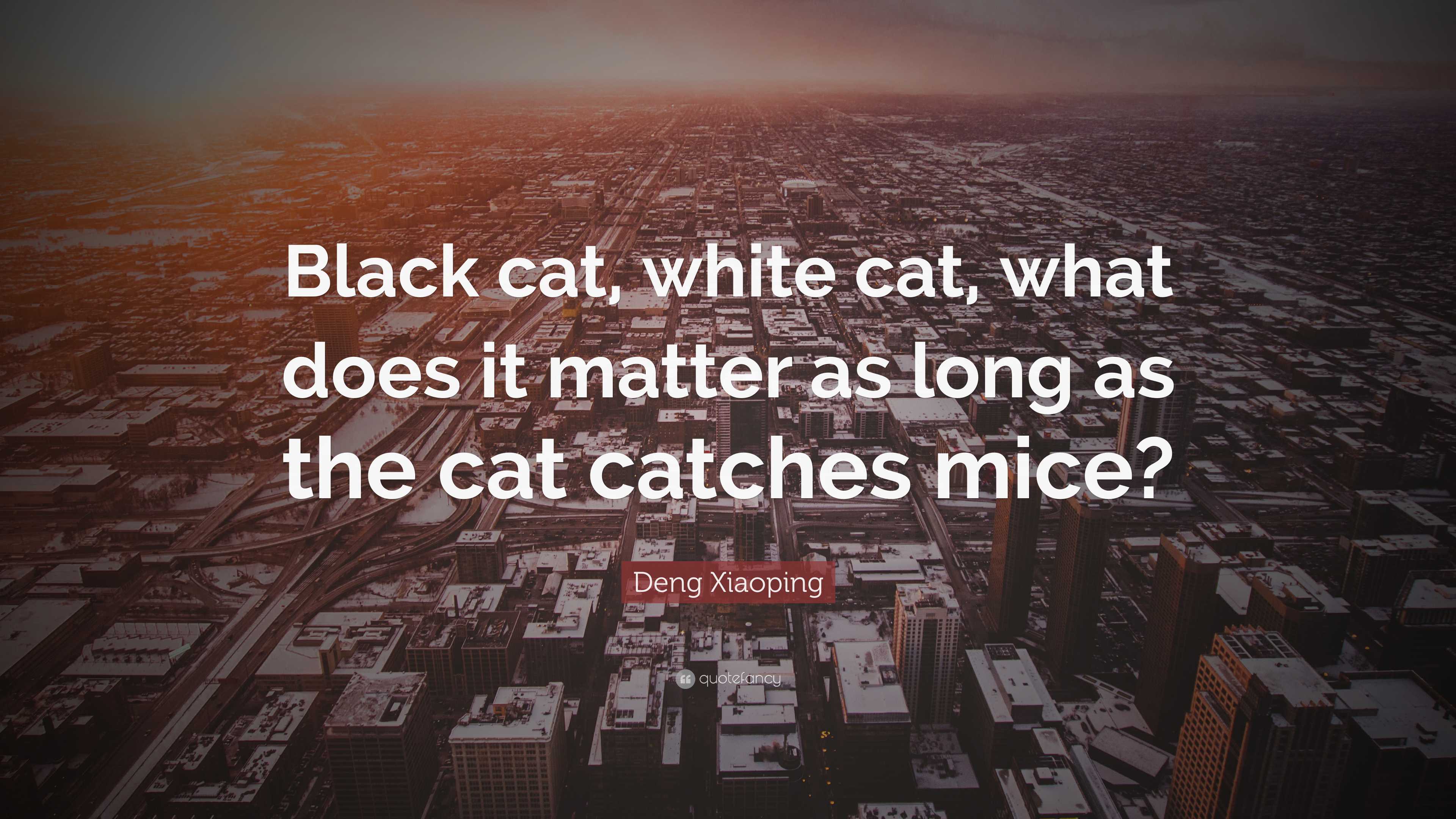 Deng Xiaoping Quote “Black cat, white cat, what does it matter as long