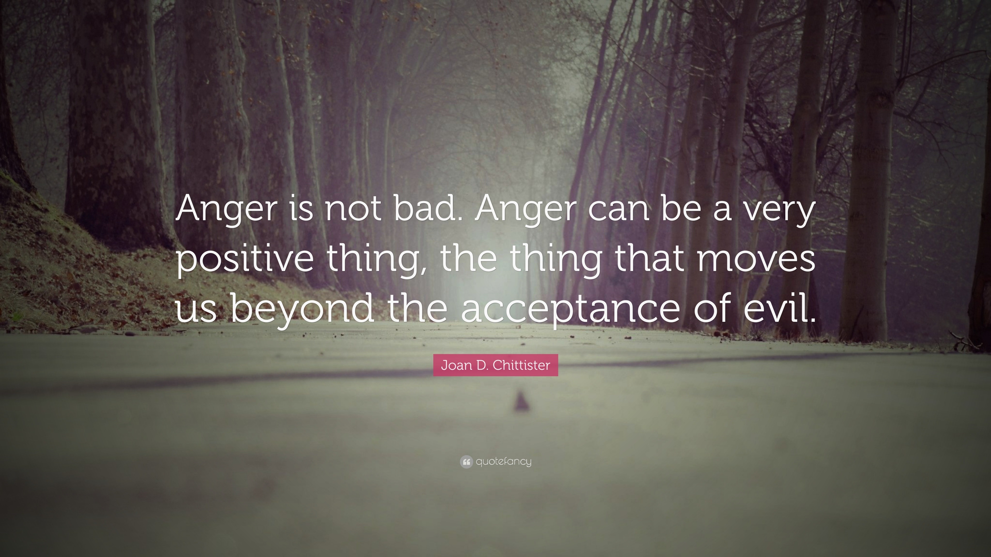 Joan D. Chittister Quote: “Anger is not bad. Anger can be a very ...