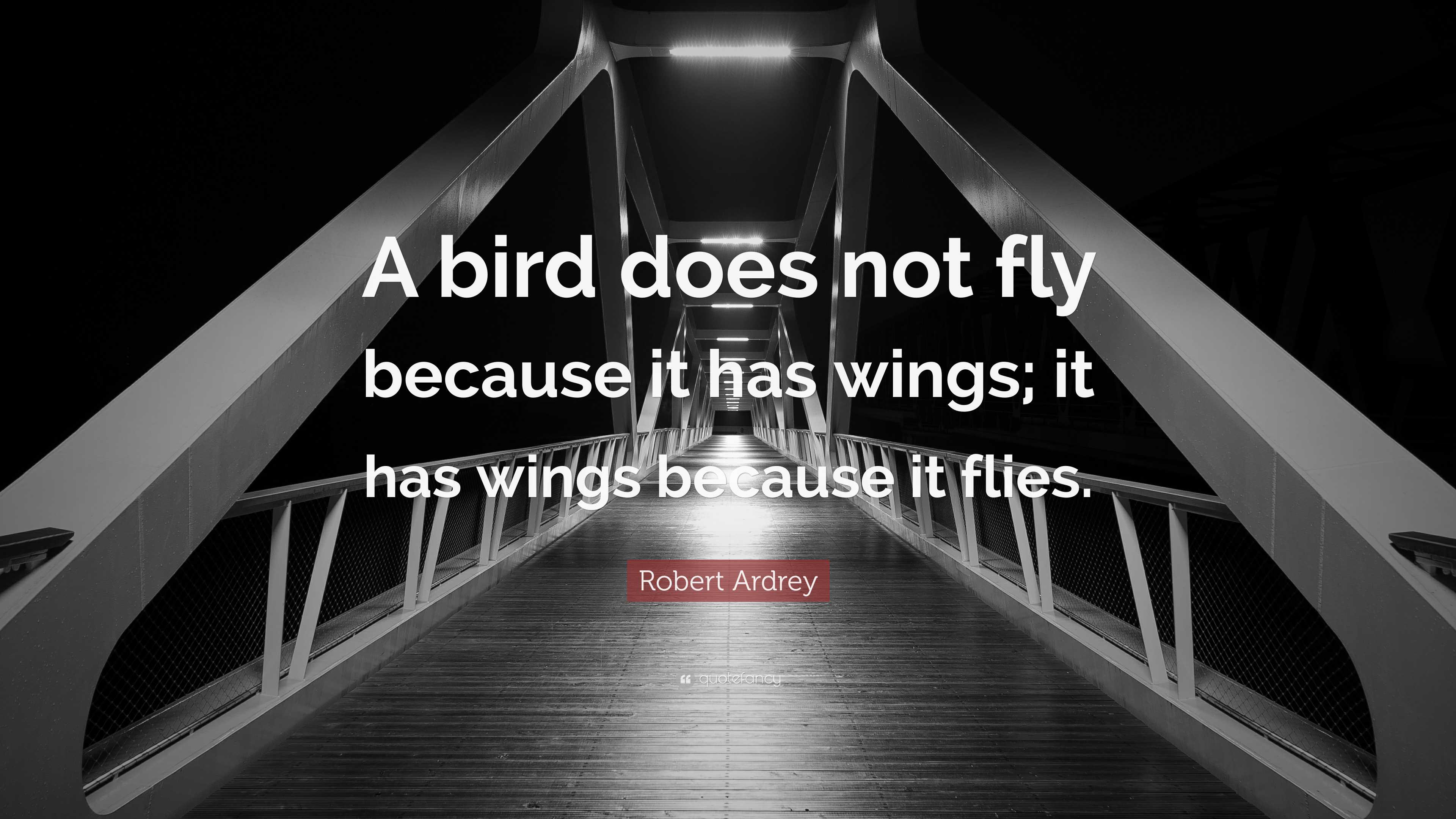 Robert Ardrey Quote: “A bird does not fly because it has wings; it has