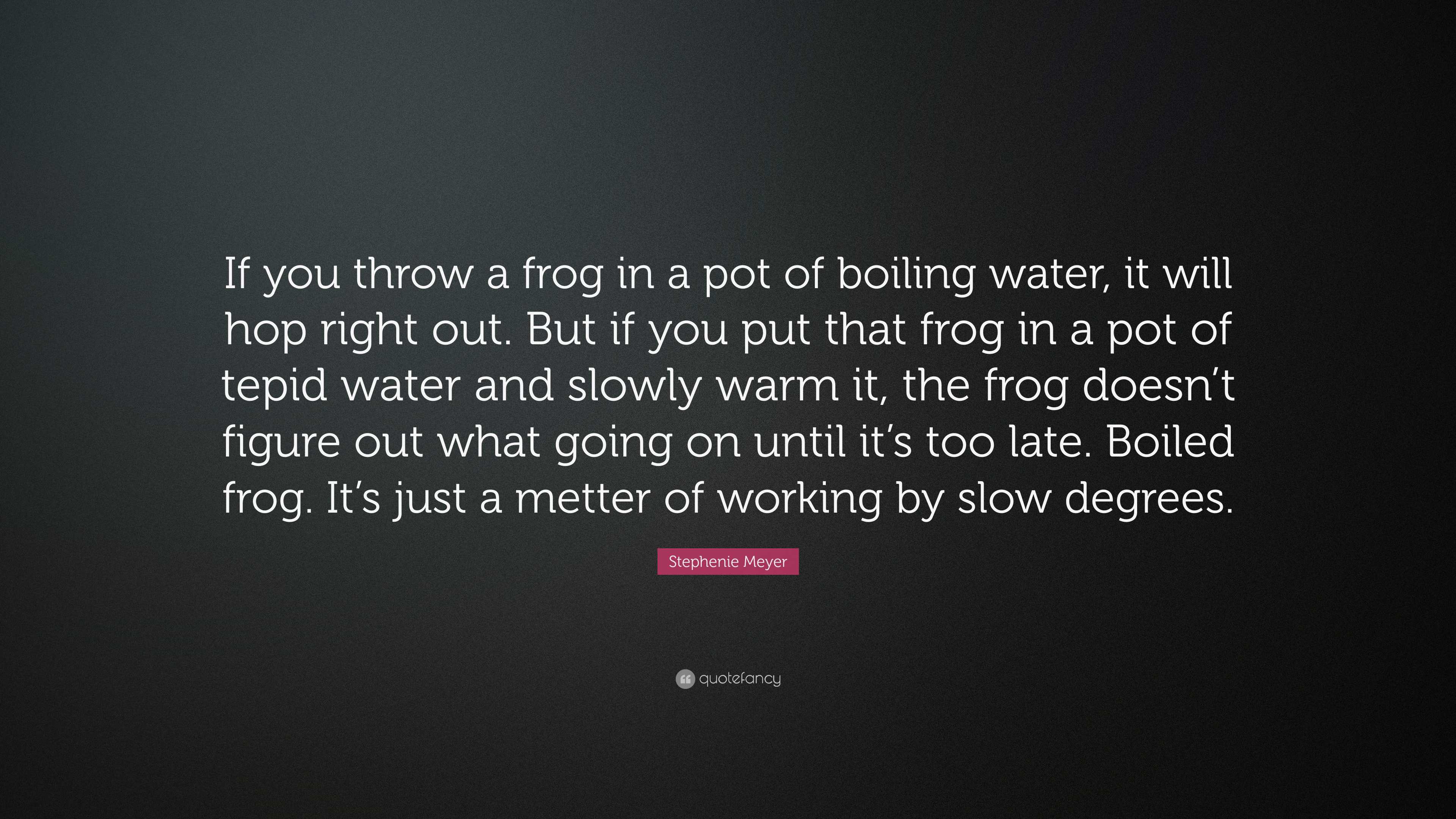 Stephenie Meyer Quote “If you throw a frog in a pot of boiling water