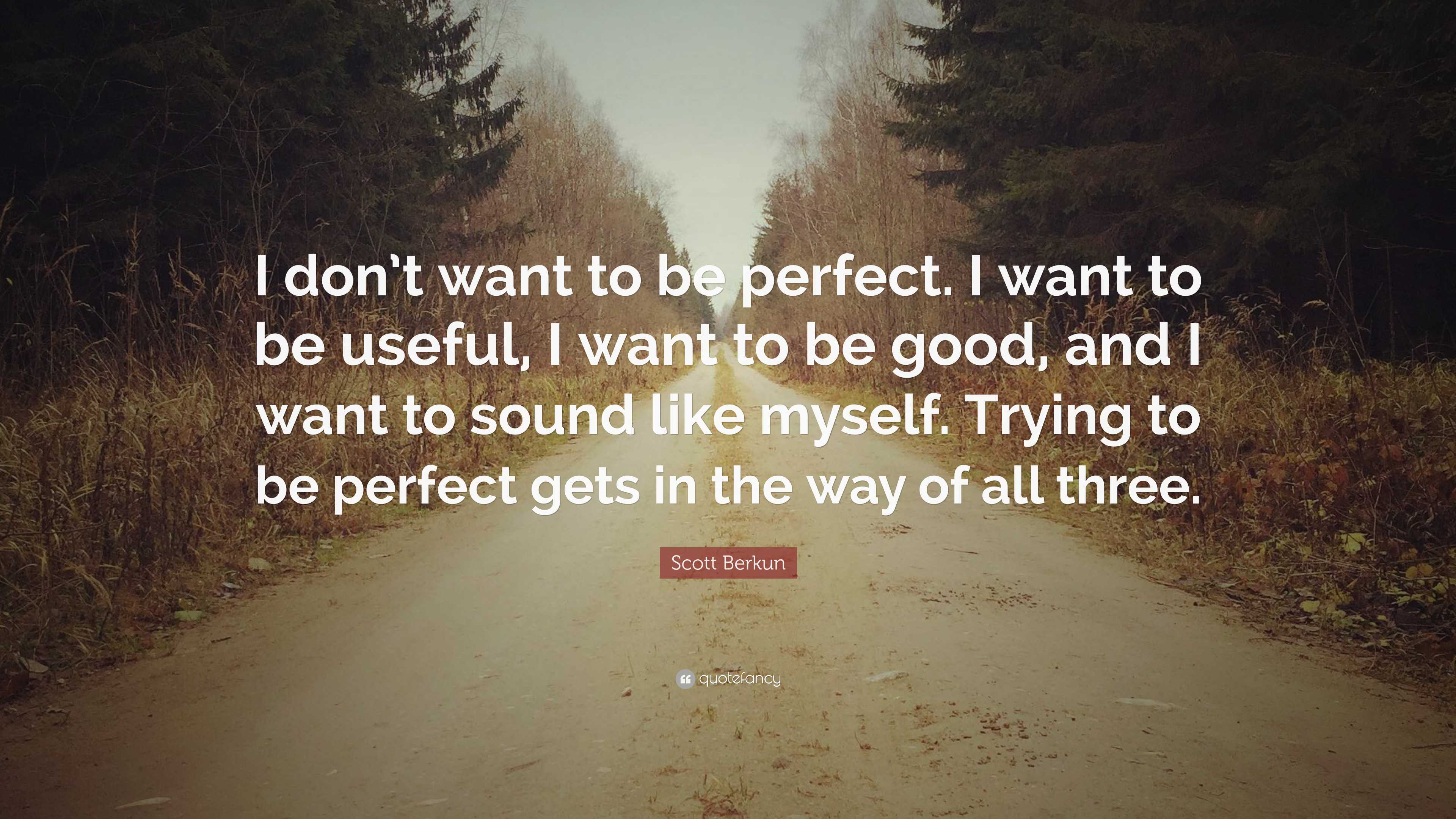 Scott Berkun Quote: “I don't want to be perfect. I want to be useful, I want  to be good, and I want to sound like myself. Trying to be perfec”