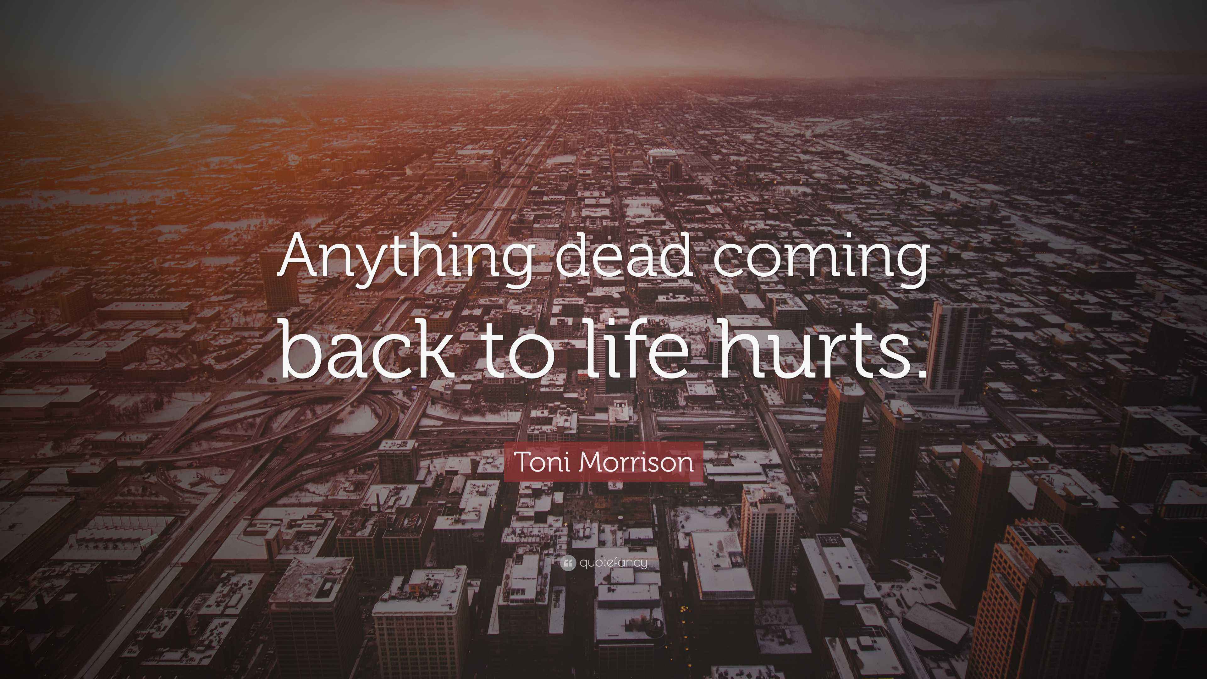 Toni Morrison Quote “Anything dead coming back to life hurts.”