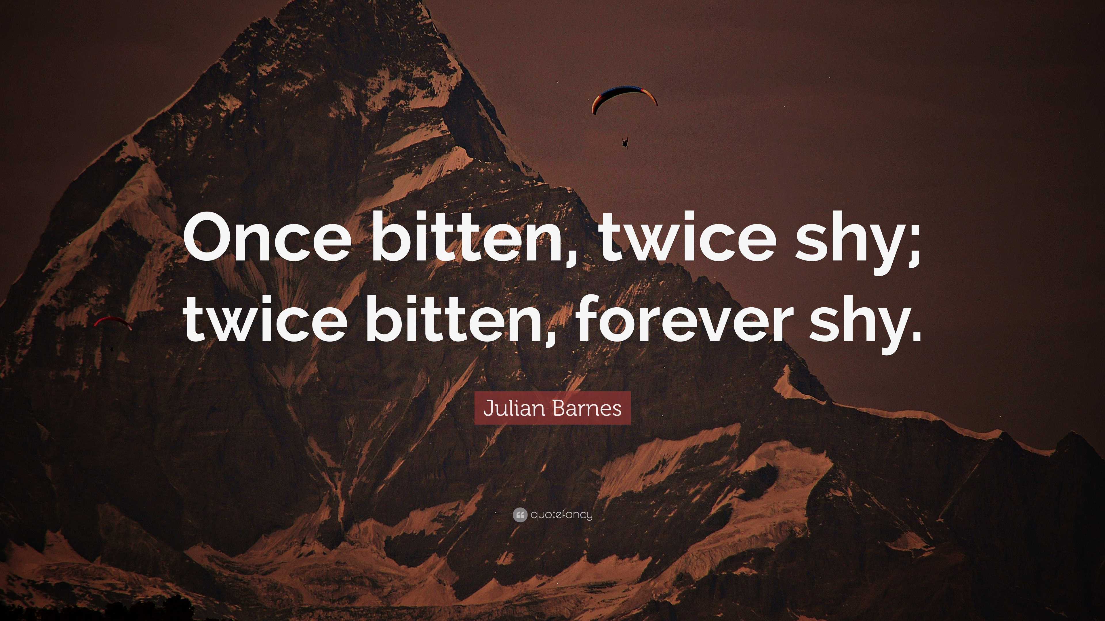 Julian Barnes Quote: “Once bitten, twice shy; twice bitten, forever shy.”