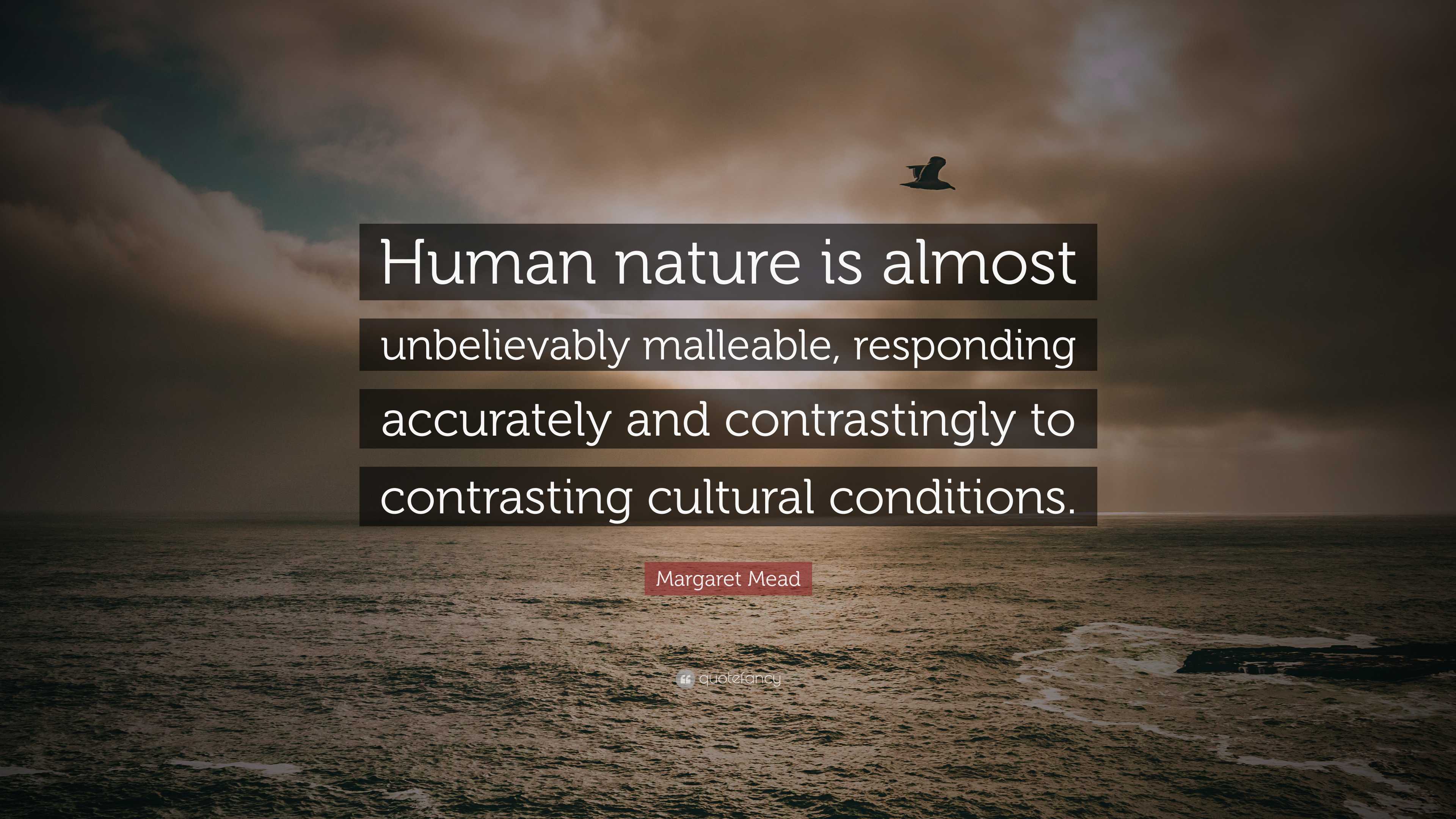 Margaret Mead Quote: “Human nature is almost unbelievably malleable ...