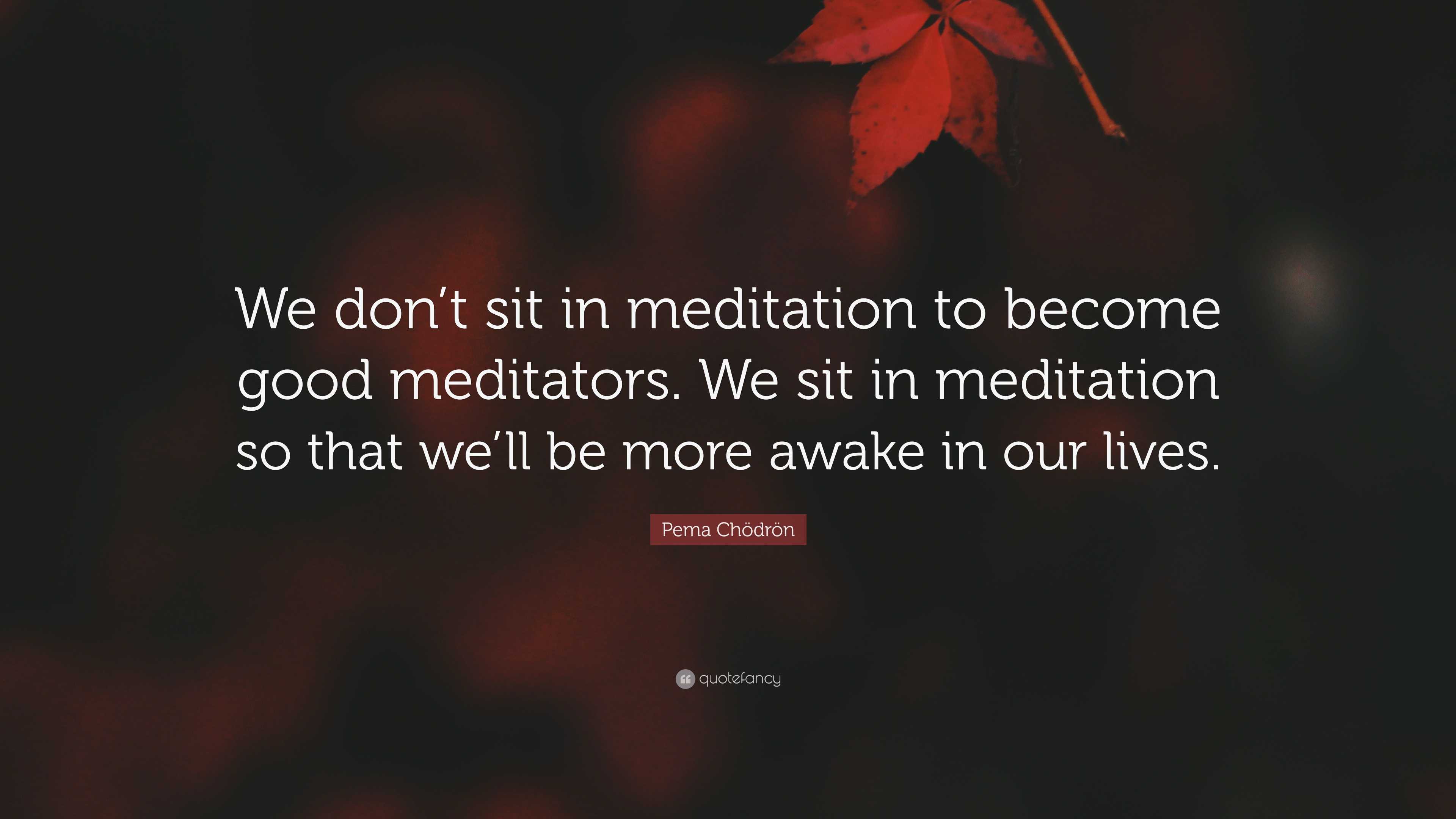 Pema Chödrön Quote: “we Don’t Sit In Meditation To Become Good 