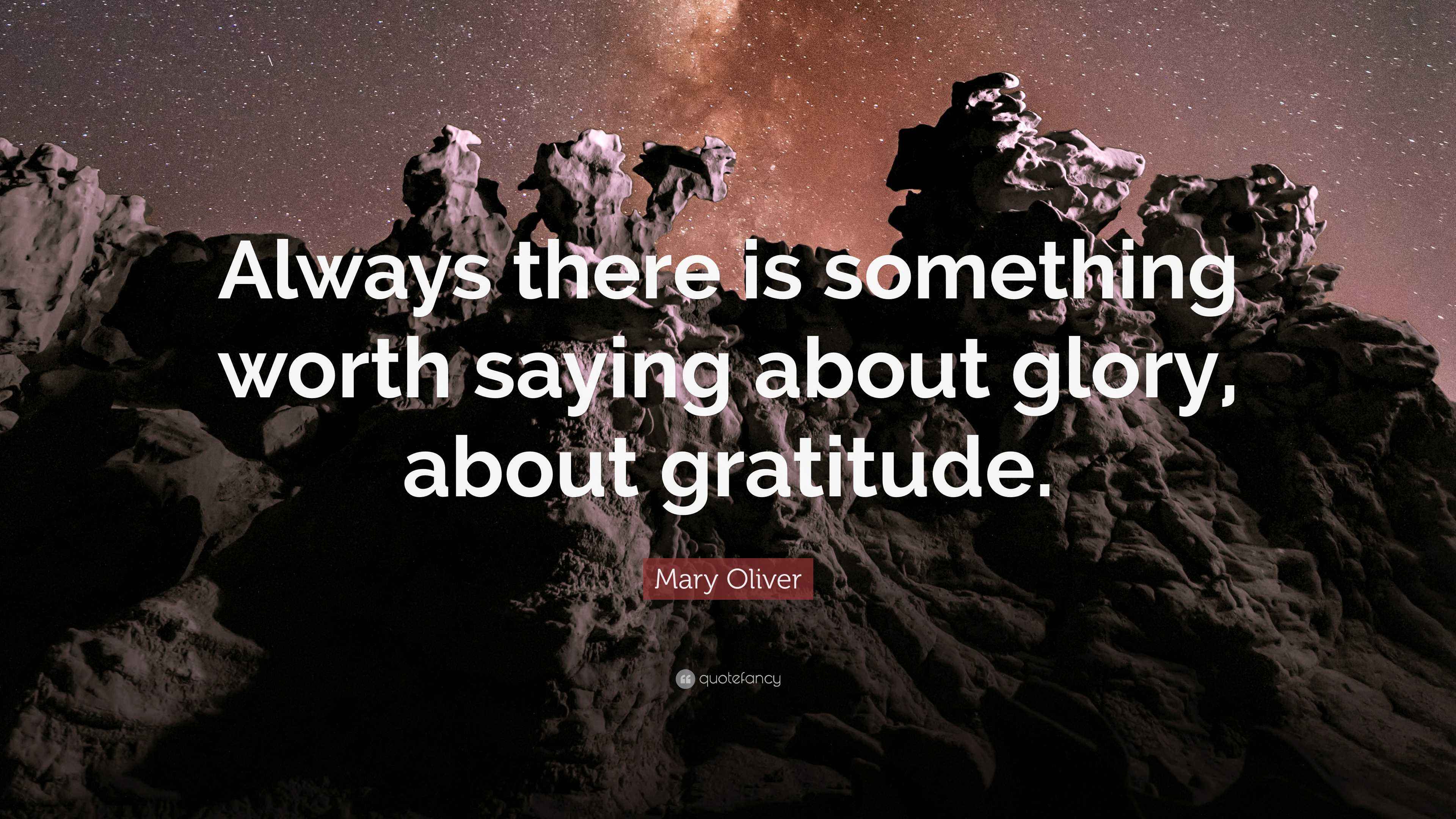 Mary Oliver Quote “Always there is something worth saying about