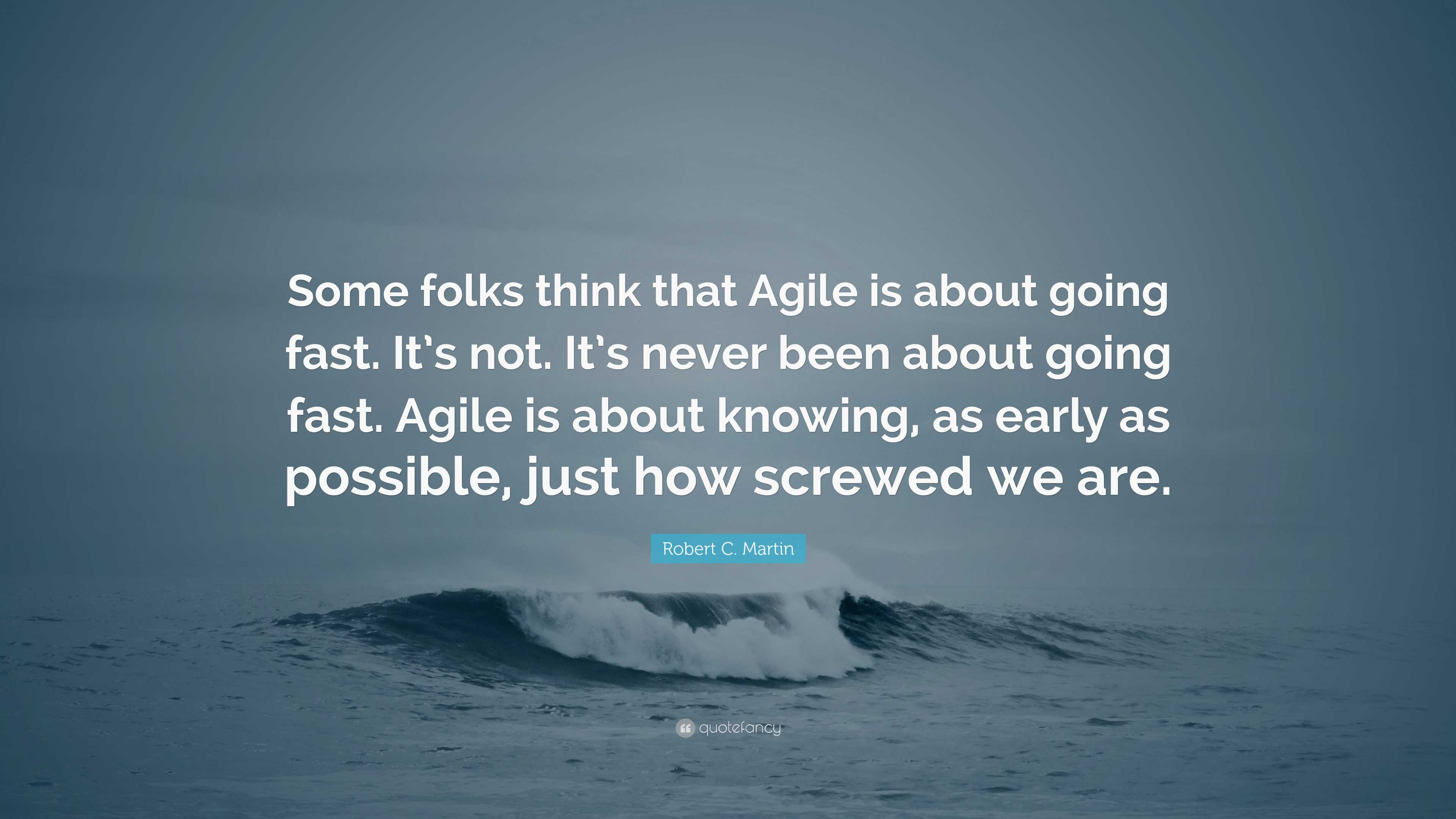 Agile is nonsense. just think it through !