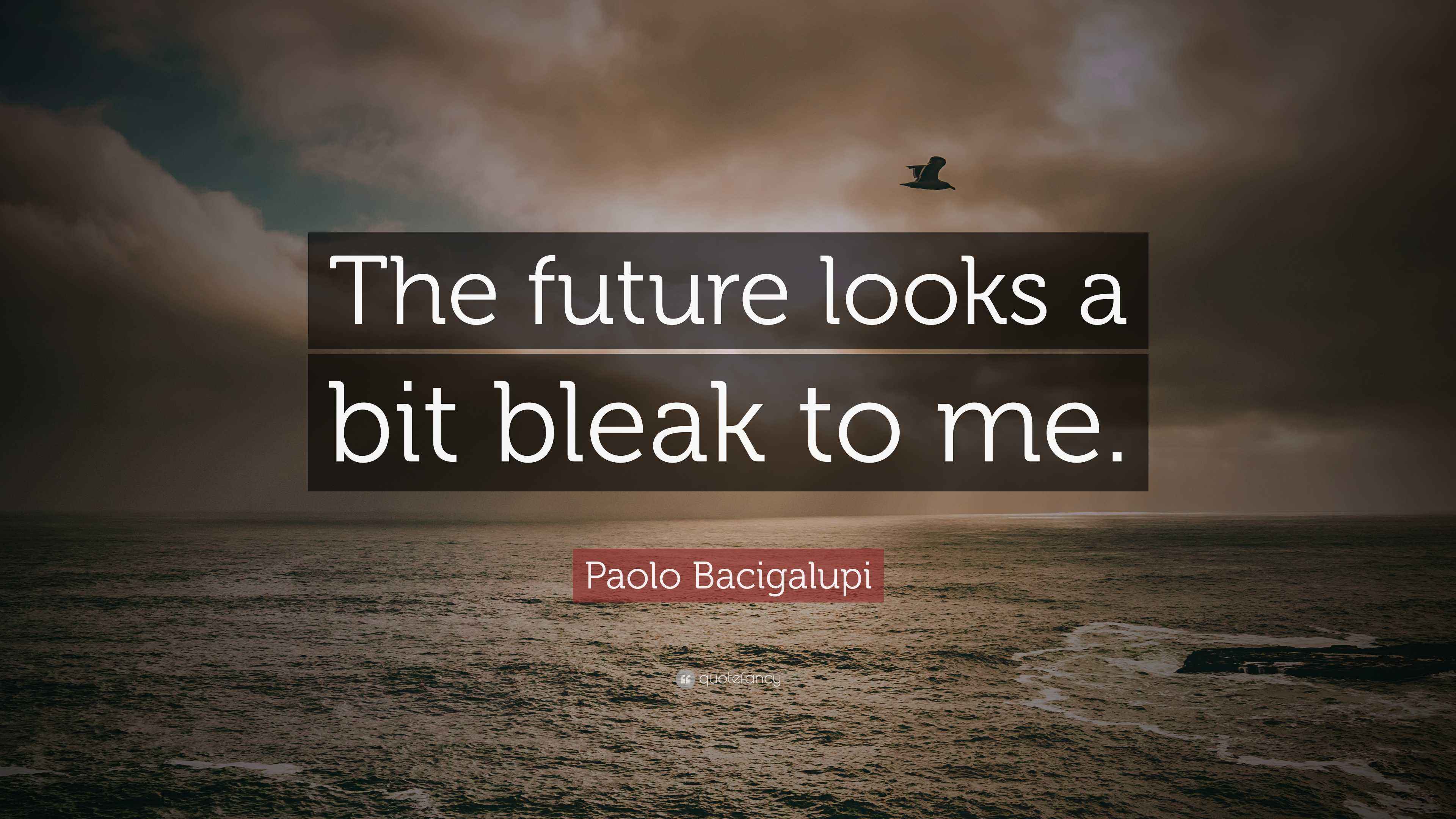Paolo Bacigalupi Quote: “The future looks a bit bleak to me.”