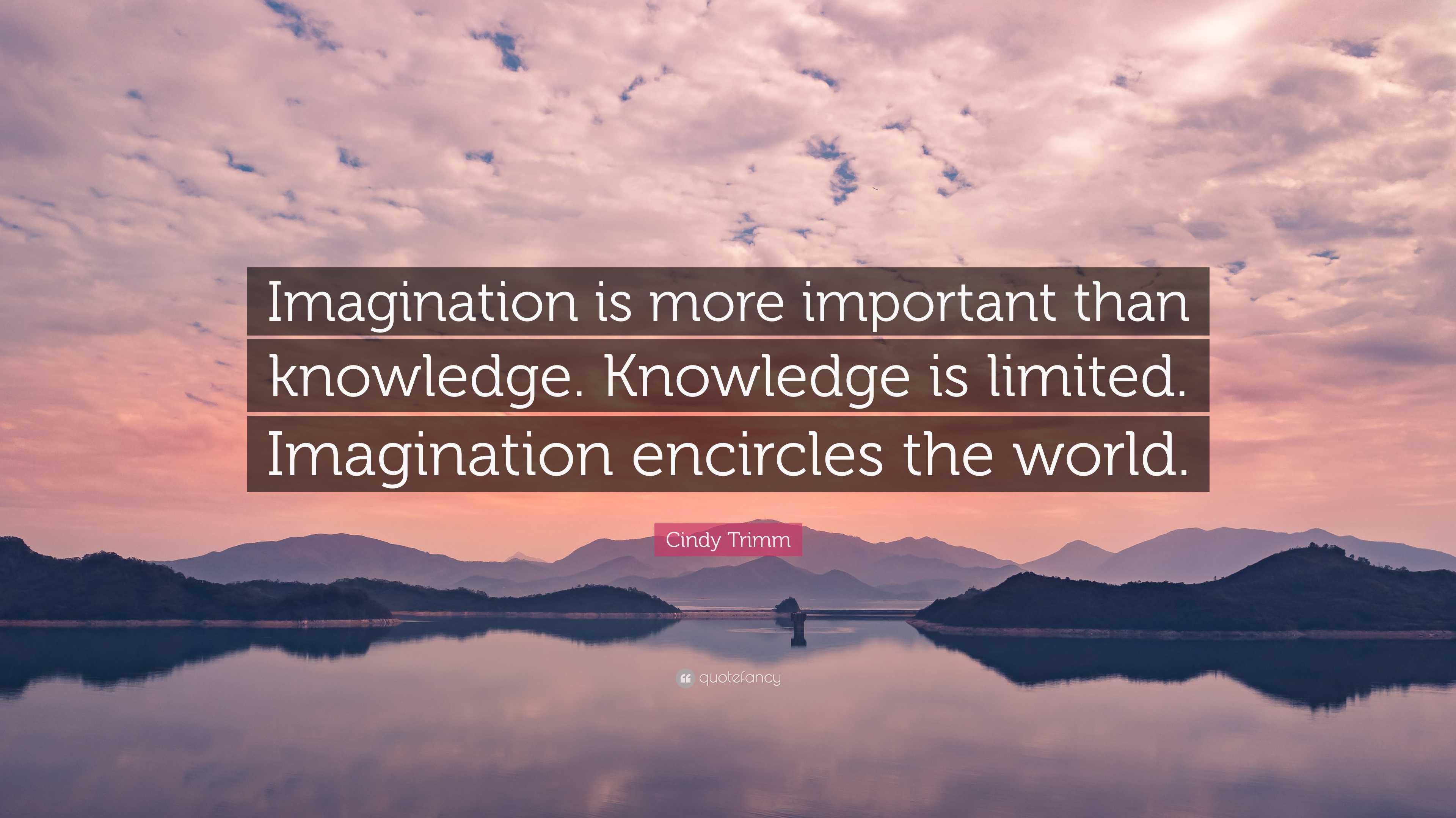 Cindy Trimm Quote: “Imagination is more important than knowledge ...