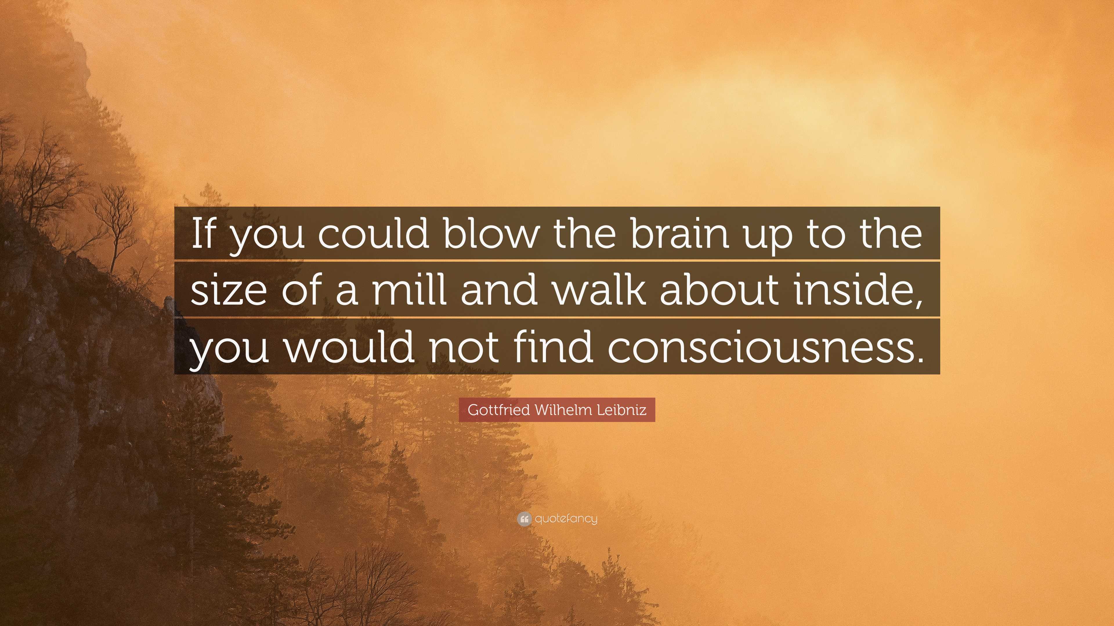 Gottfried Wilhelm Leibniz Quote: “If You Could Blow The Brain Up To The ...