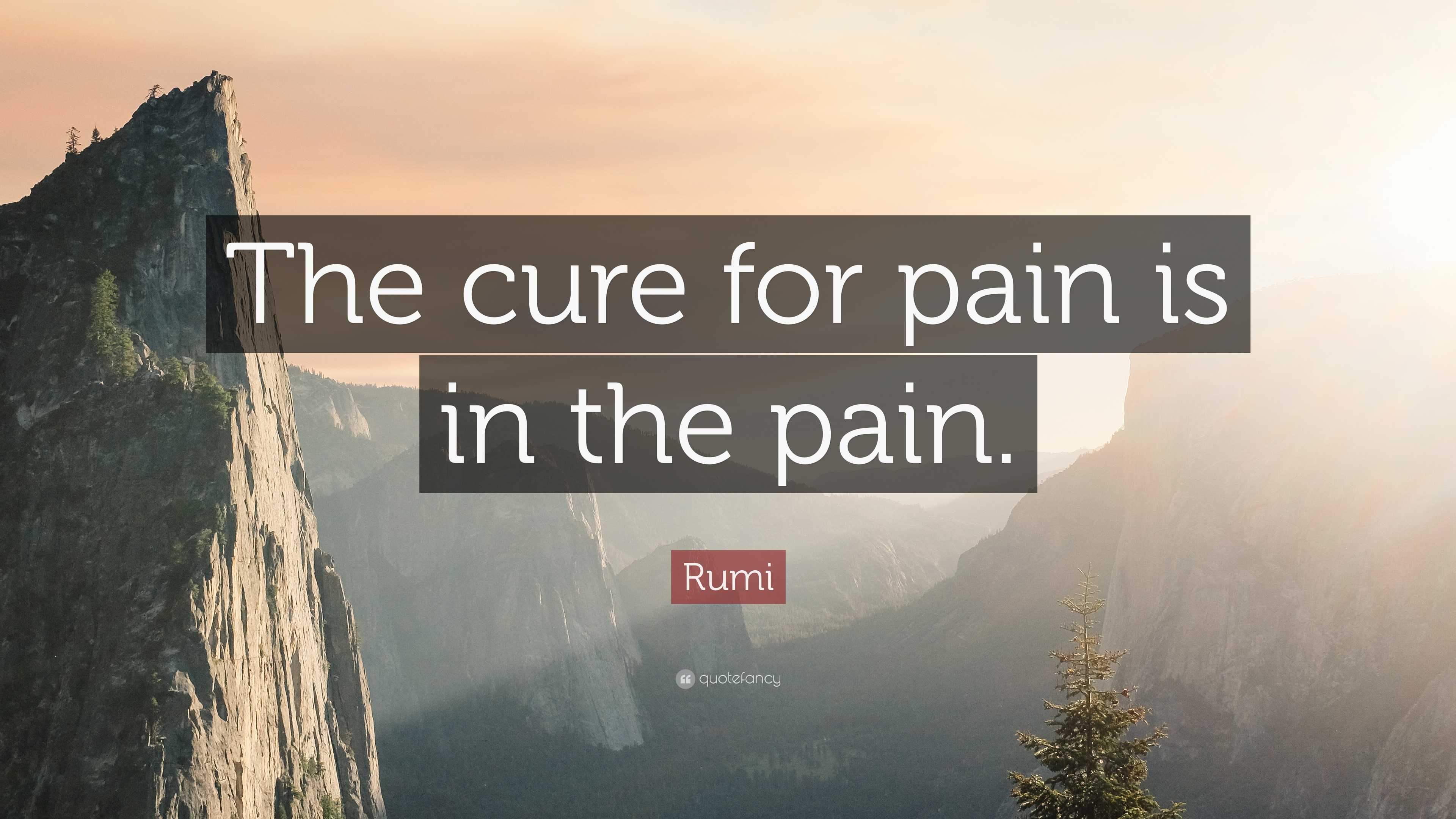 Rumi Quote: “The cure for pain is in the pain.”