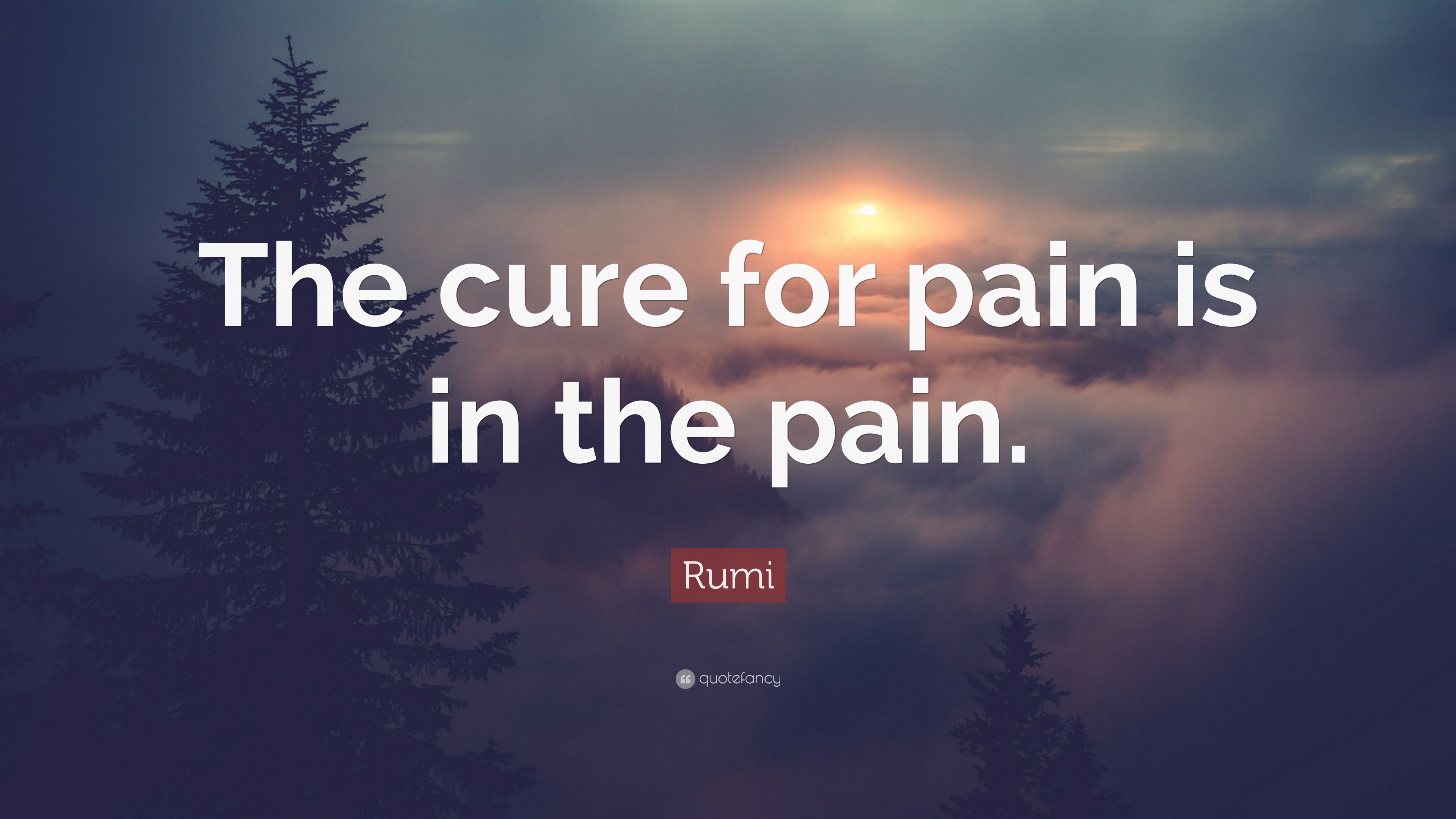 Rumi Quote: “The cure for pain is in the pain.”