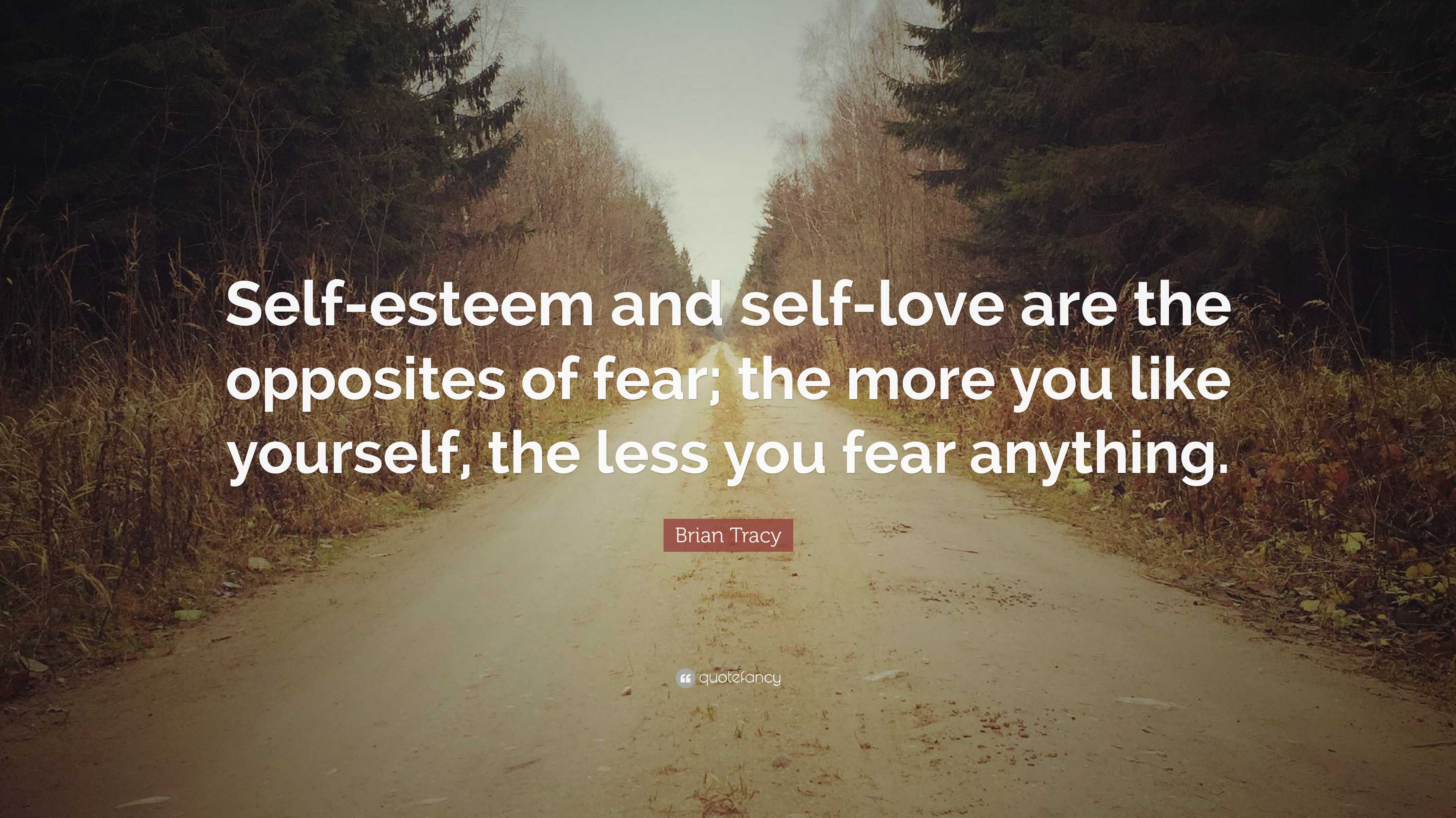 Brian Tracy Quote: “Self-esteem and self-love are the opposites of fear ...