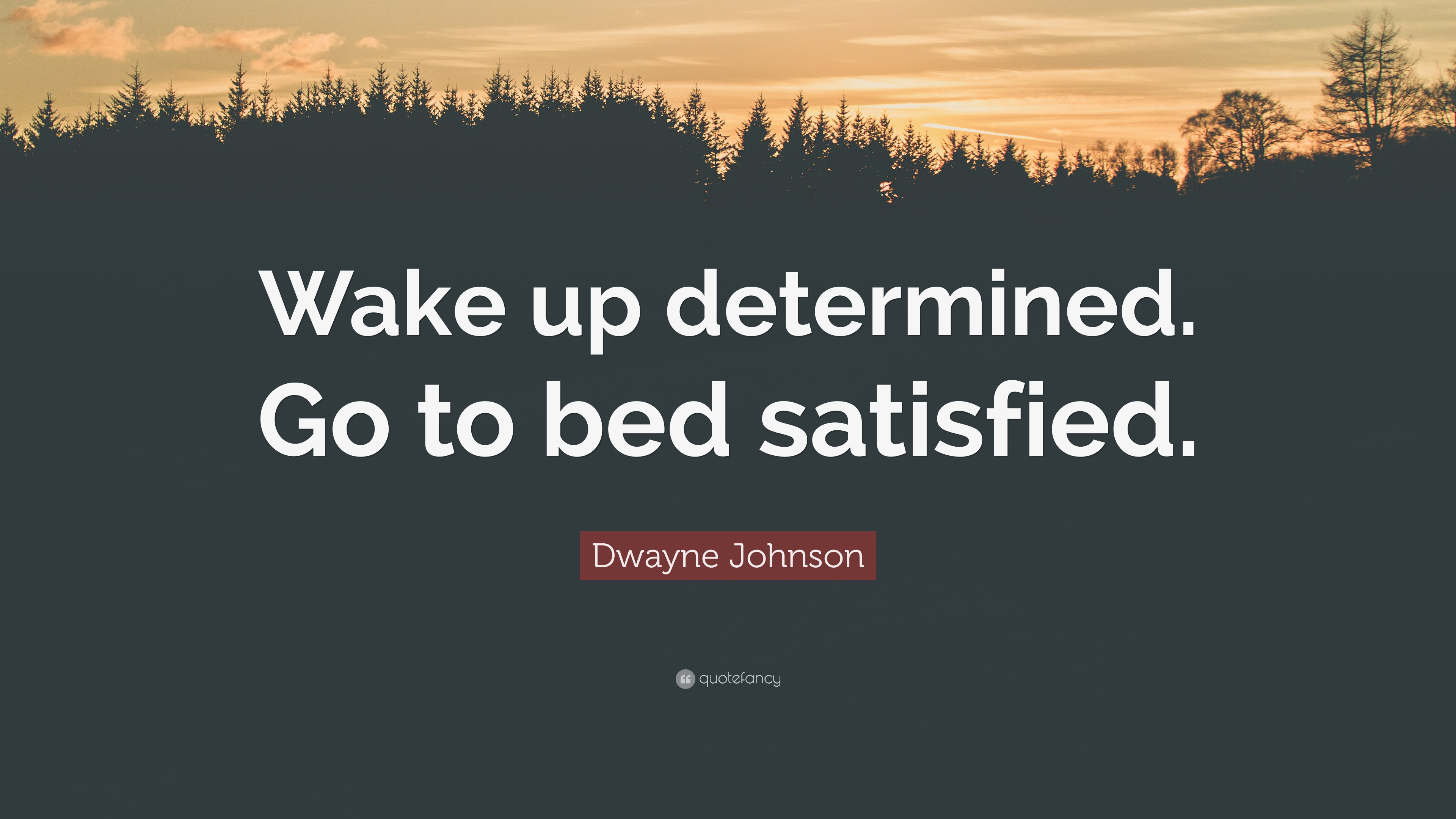 Dwayne Johnson Quote: “Wake up determined. Go to bed satisfied.”