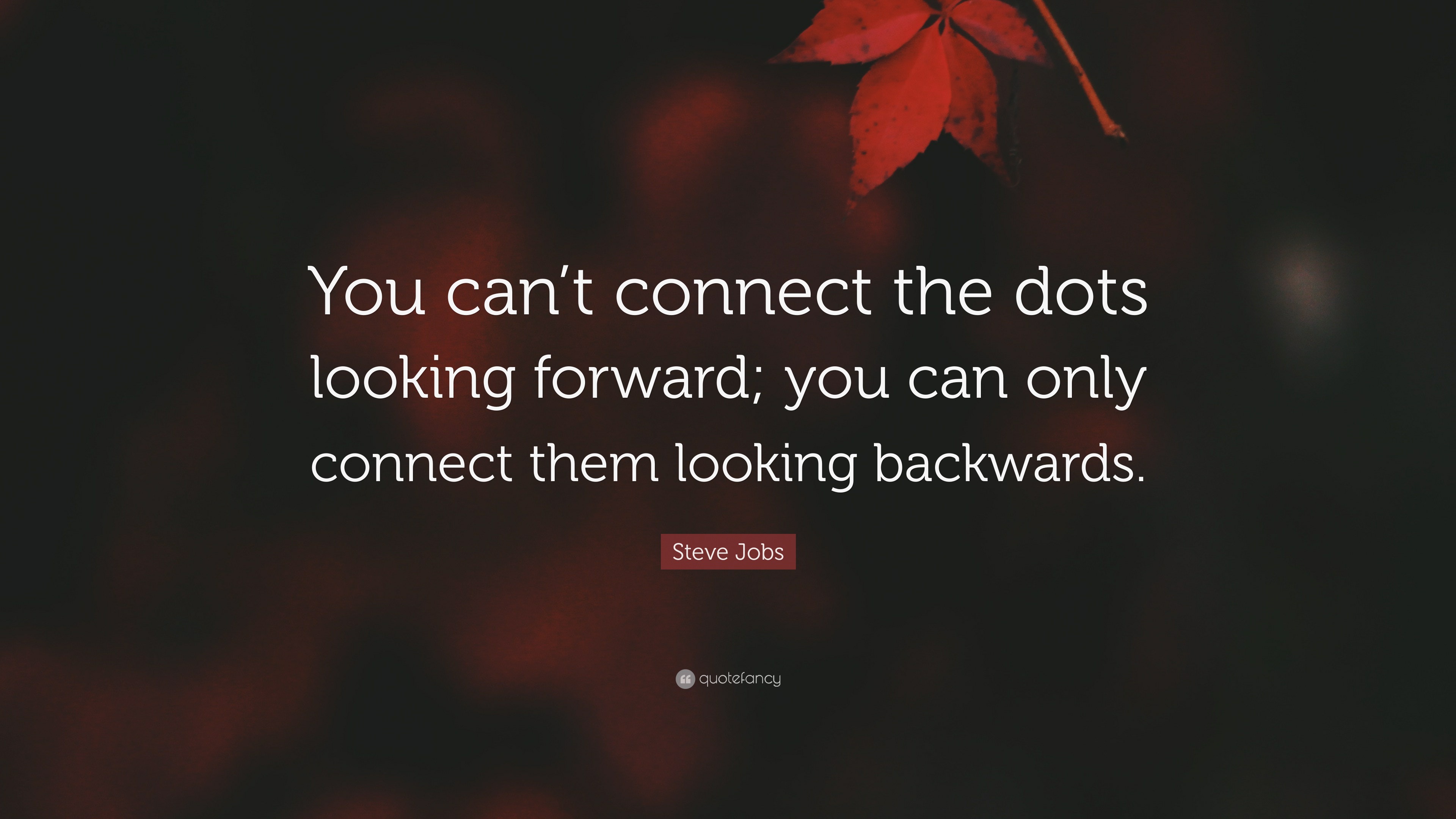 Steve Jobs Quote “You can’t connect the dots looking forward; you can