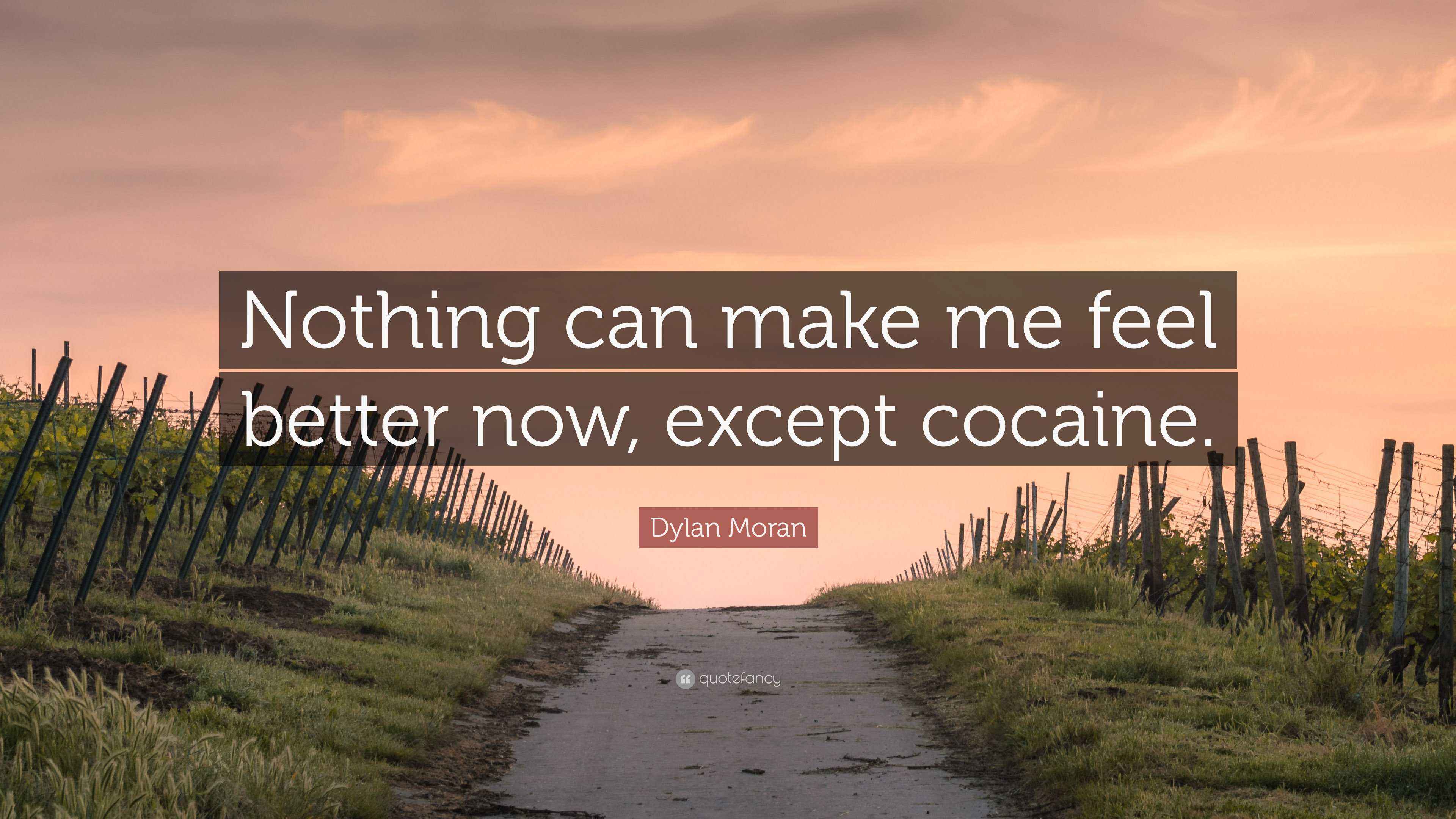 Dylan Moran Quote “Nothing can make me feel better now, except cocaine.”
