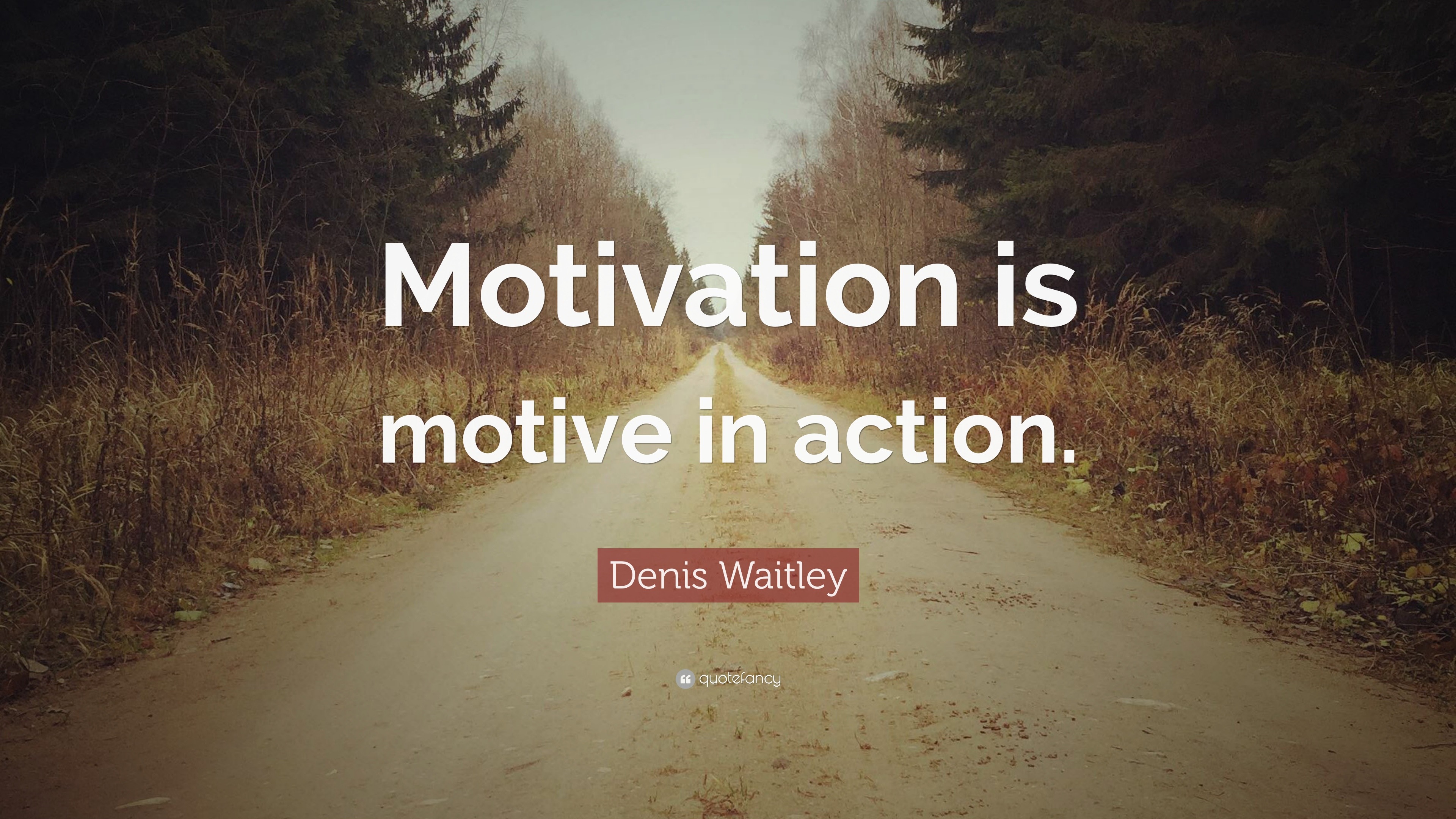 “Motivation is motive in action.”