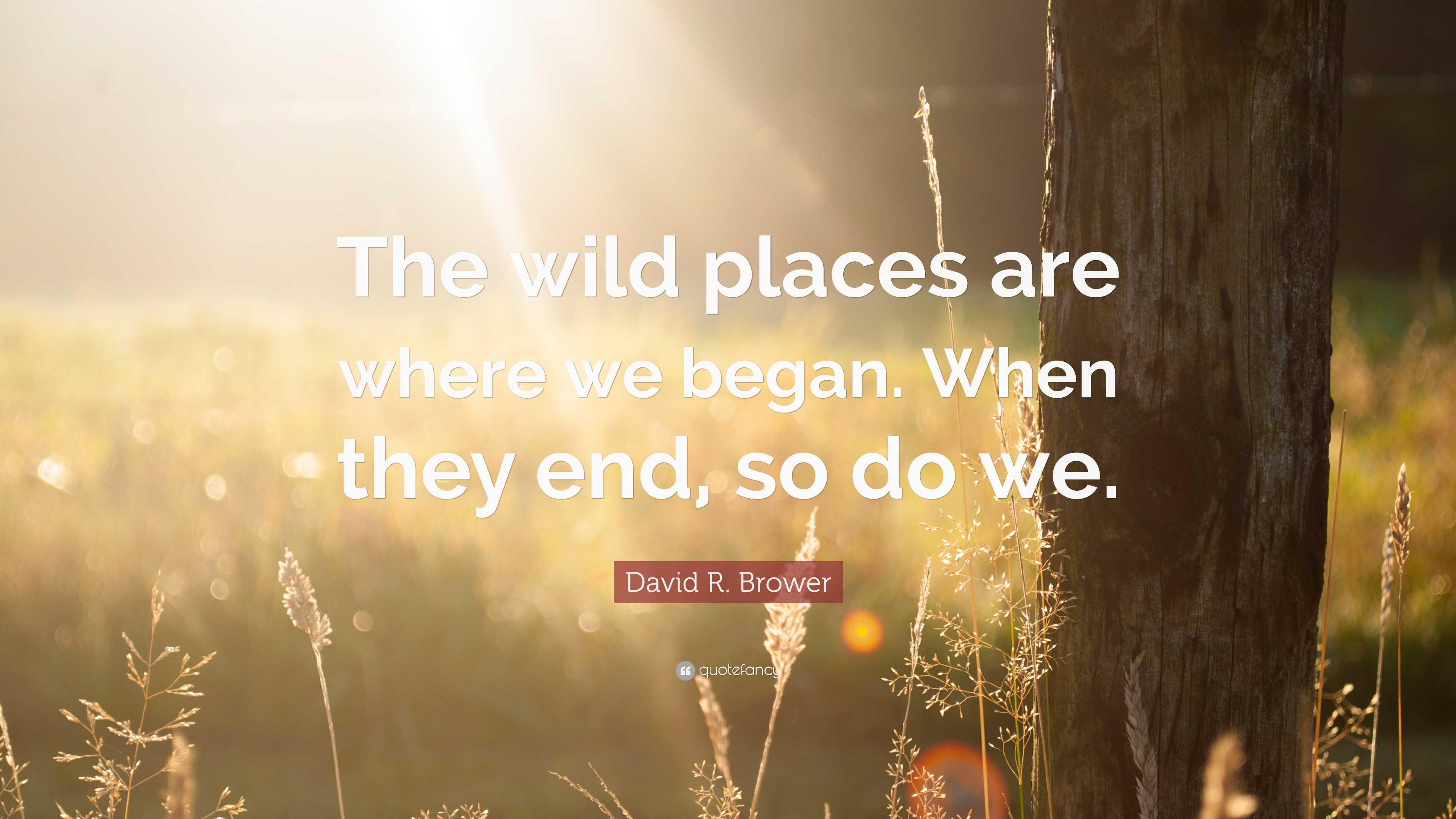 Wild Places • Re:wild