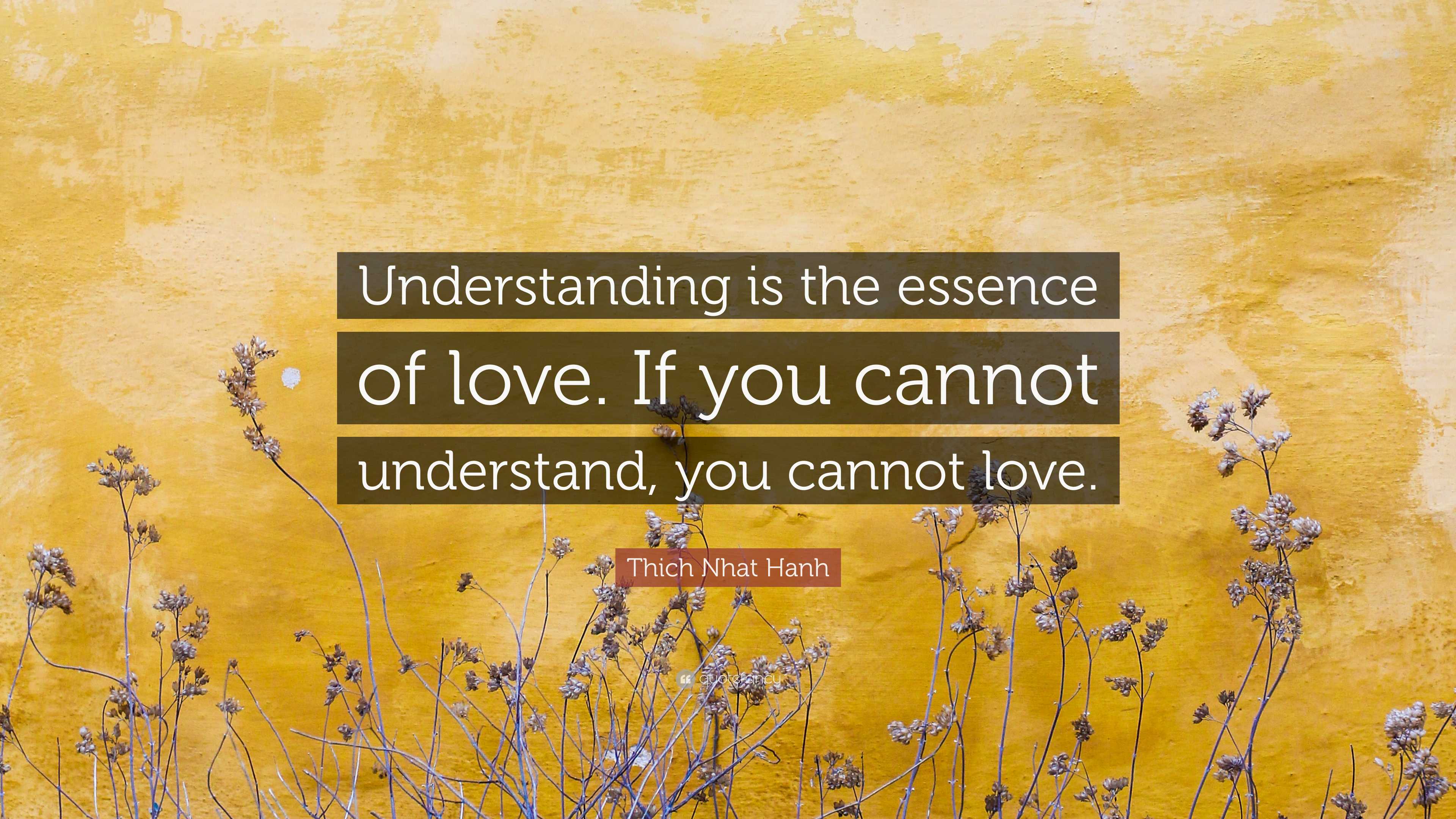 understand love quotes