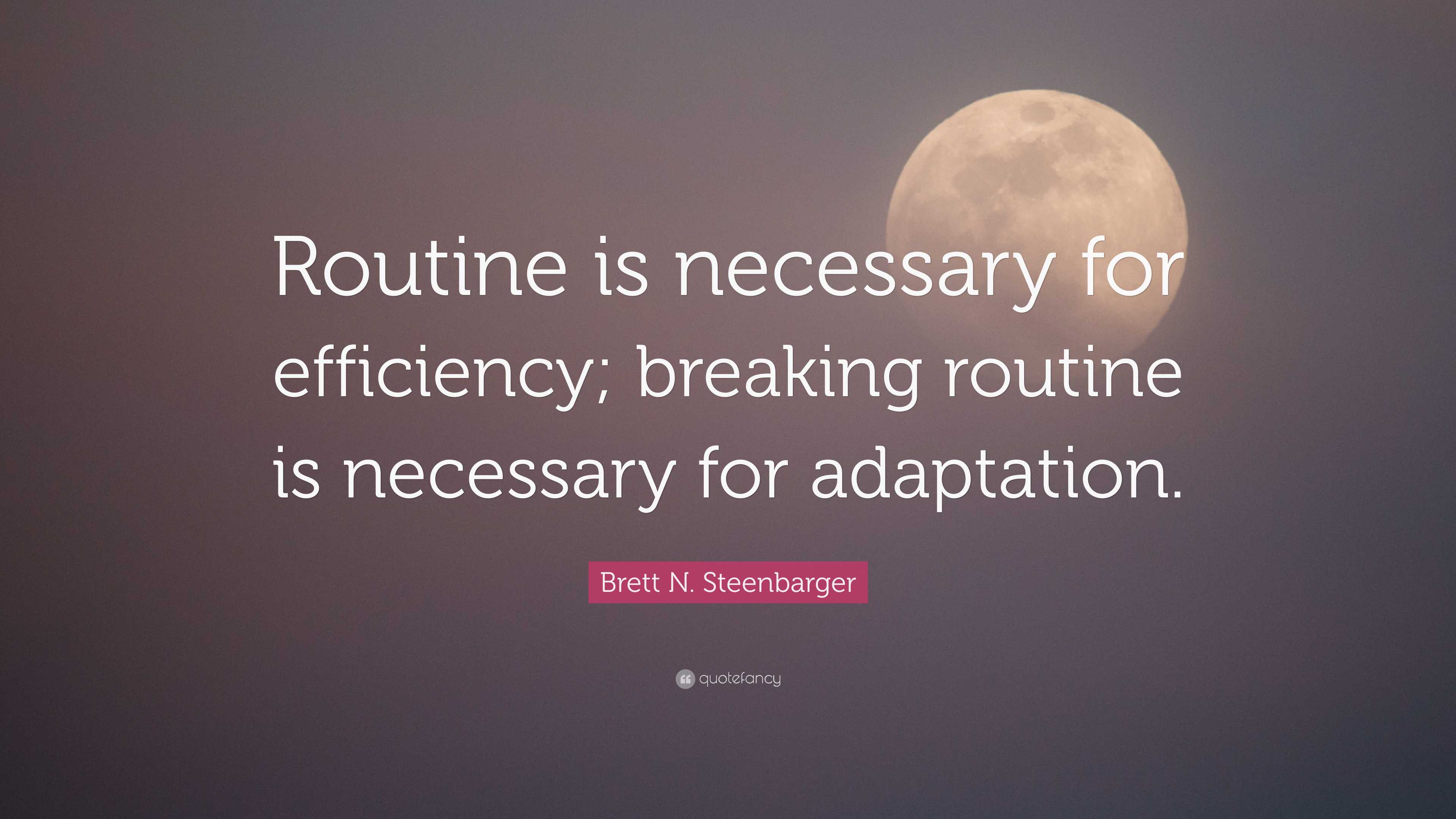 Brett N. Steenbarger Quote: “Routine is necessary for efficiency ...
