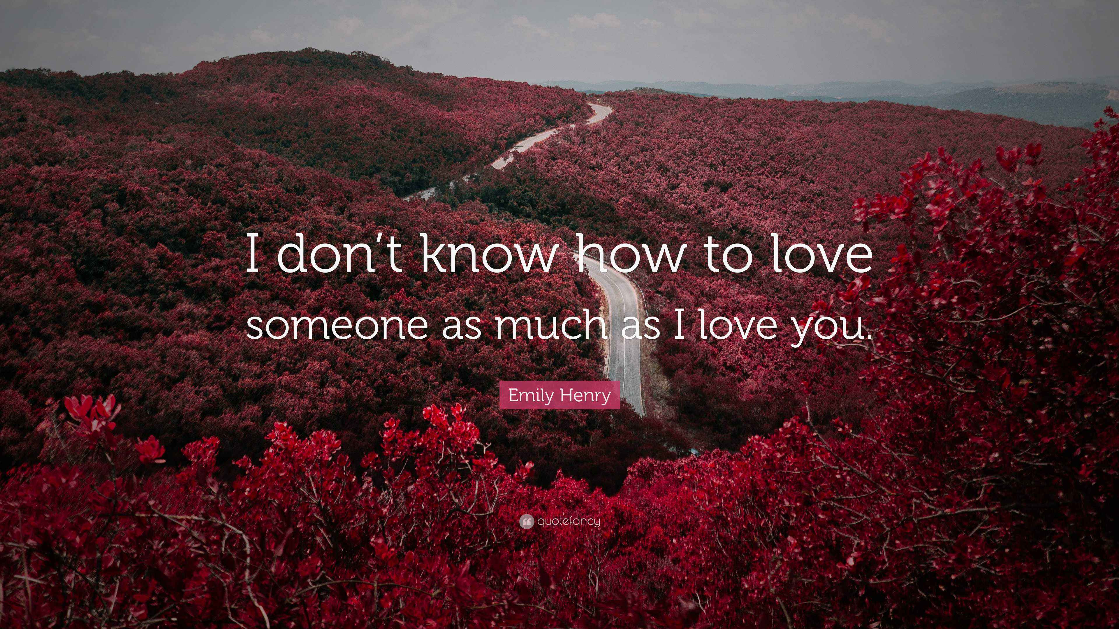 Emily Henry Quote: “I don’t know how to love someone as much as I love ...