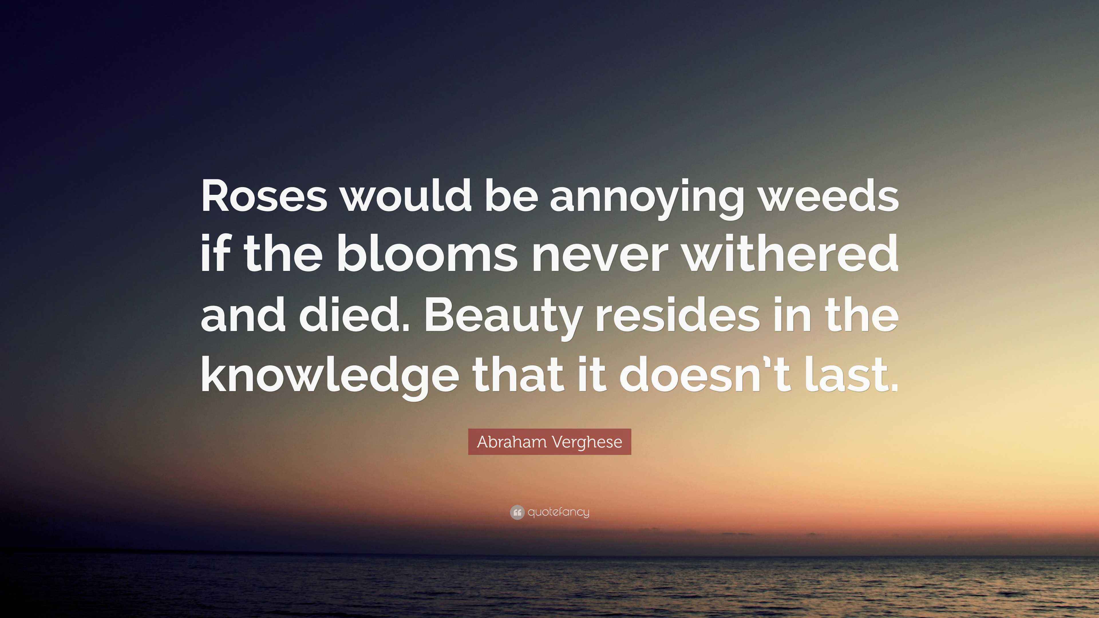 Abraham Verghese Quote: “Roses would be annoying weeds if the blooms ...