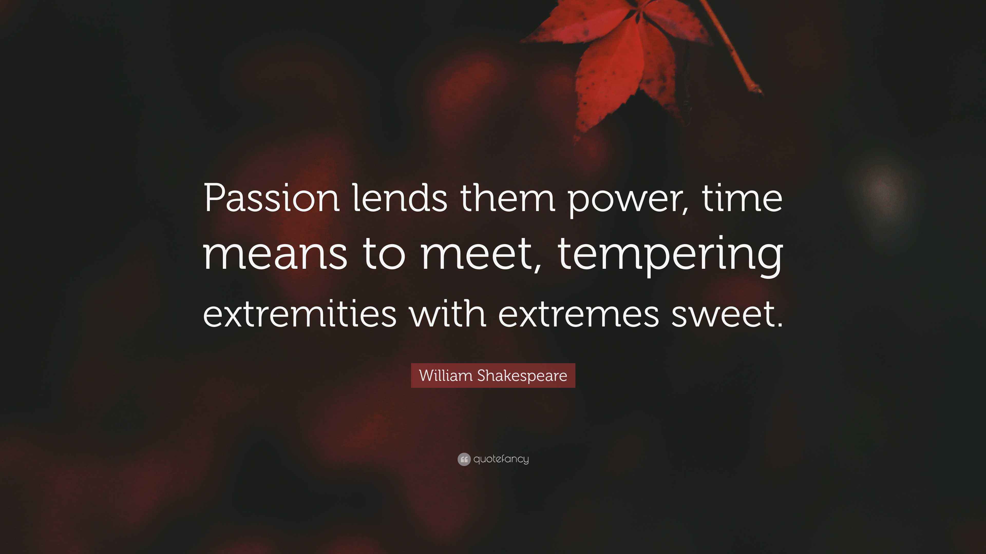 William Shakespeare Quote “Passion lends them power, time means to