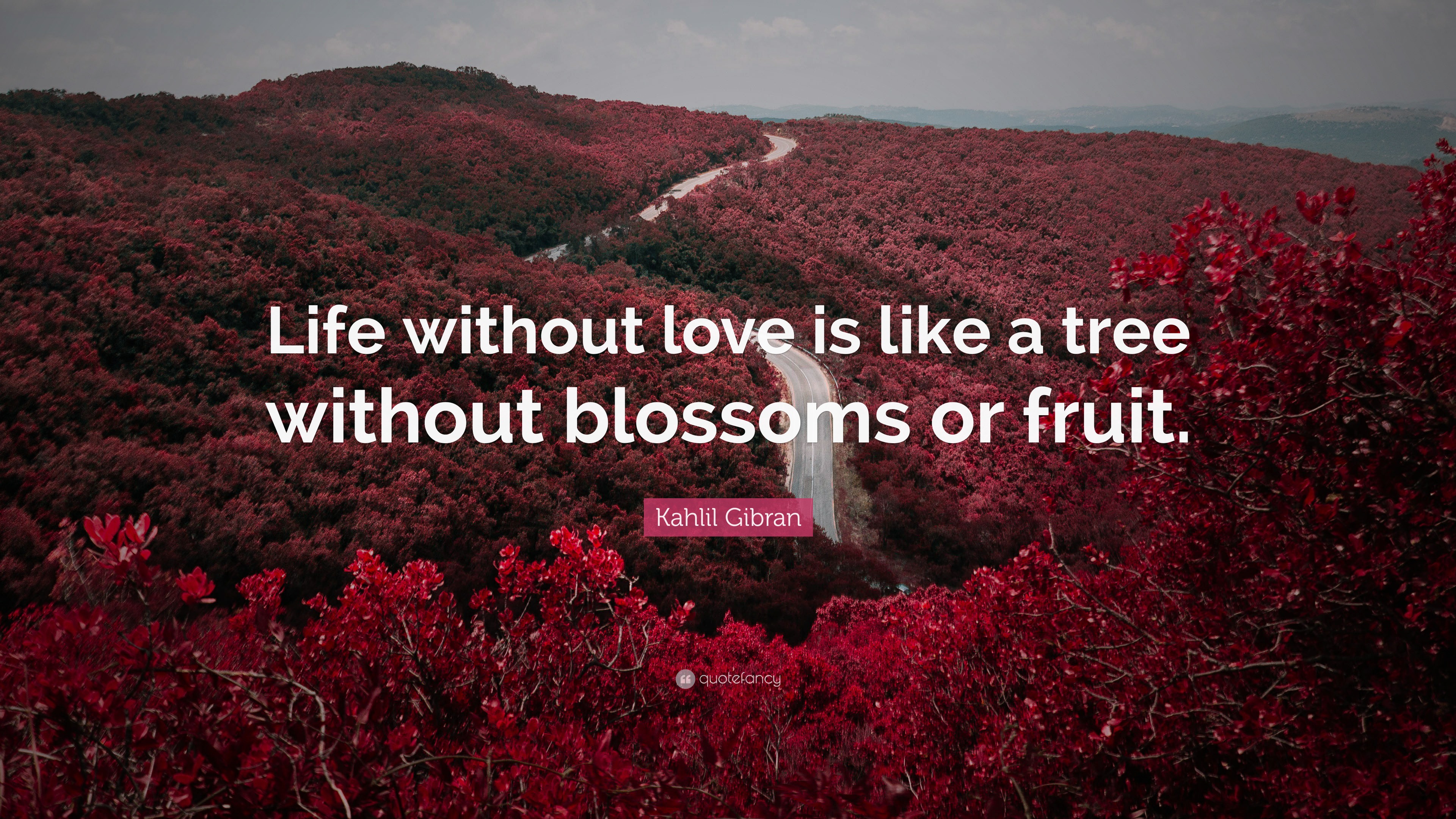 Kahlil Gibran Quote “Life without love is like a tree without blossoms