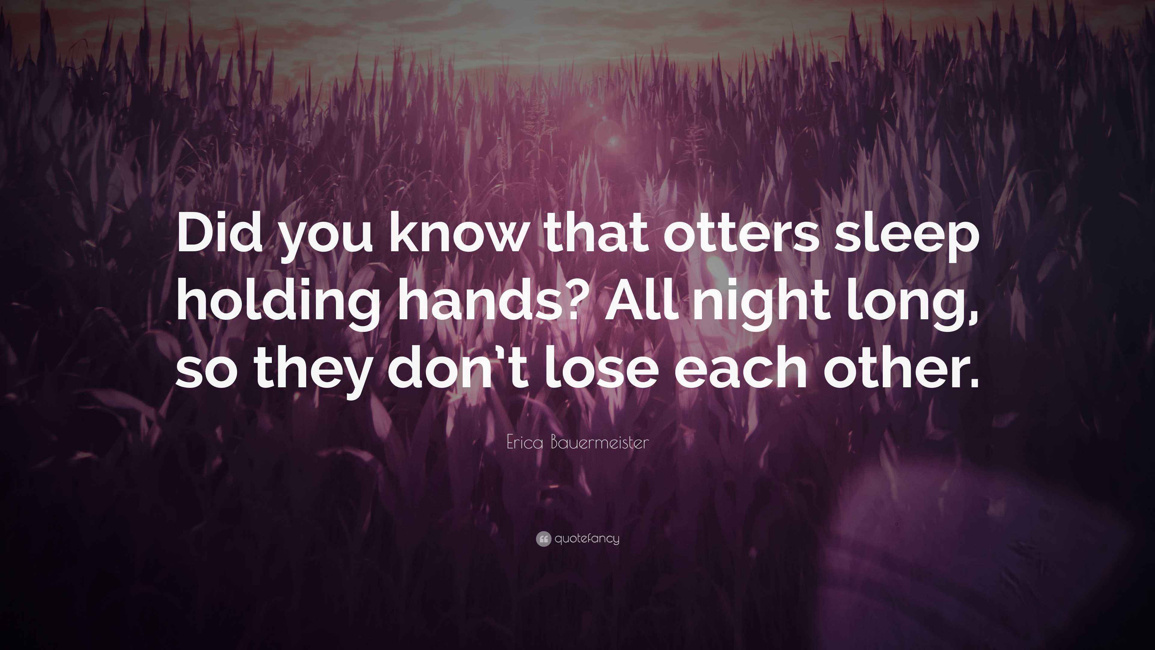 Erica Bauermeister Quote: “Did you know that otters sleep holding hands