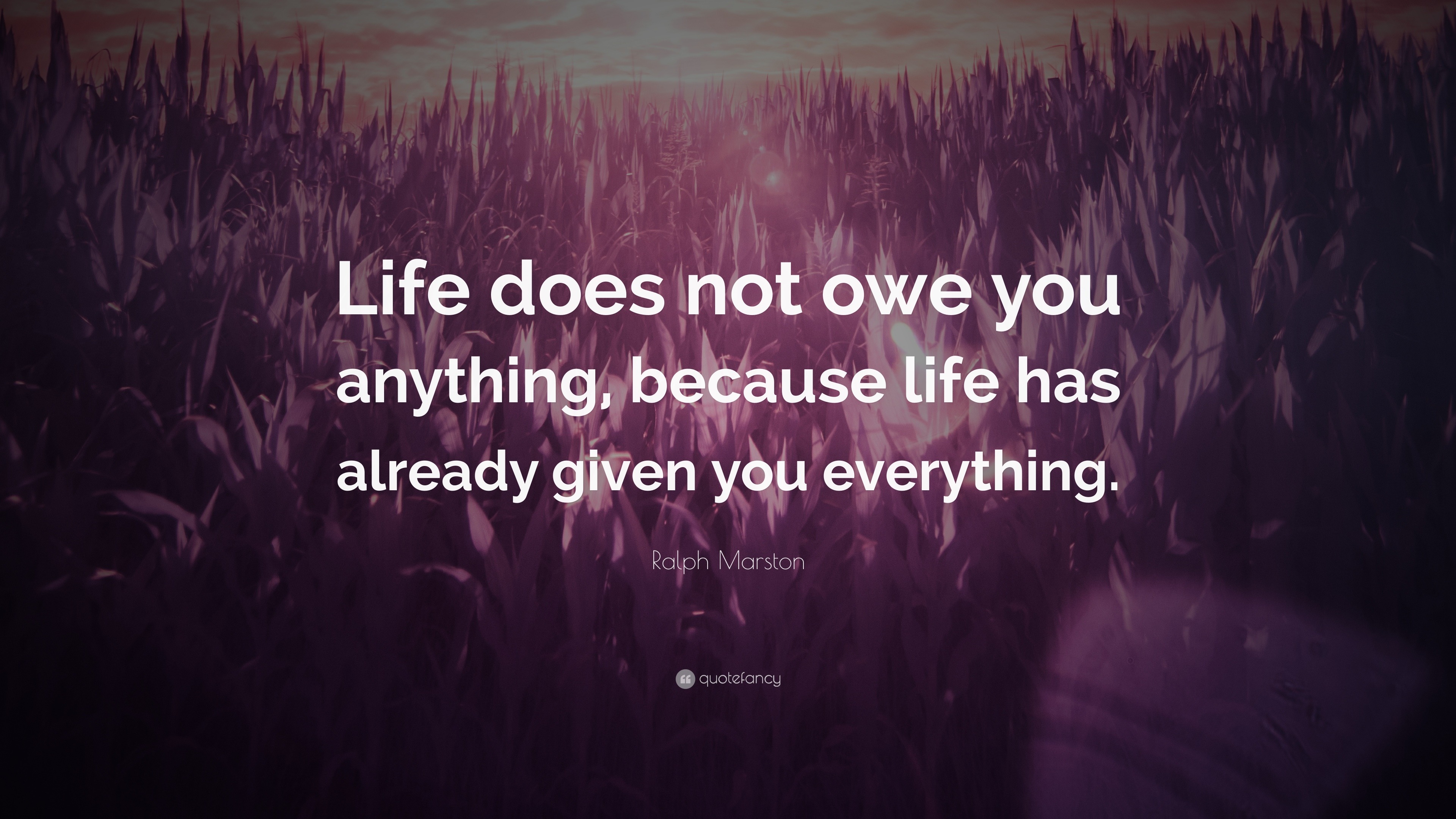 Ralph Marston Quote: “Life does not owe you anything, because life has ...