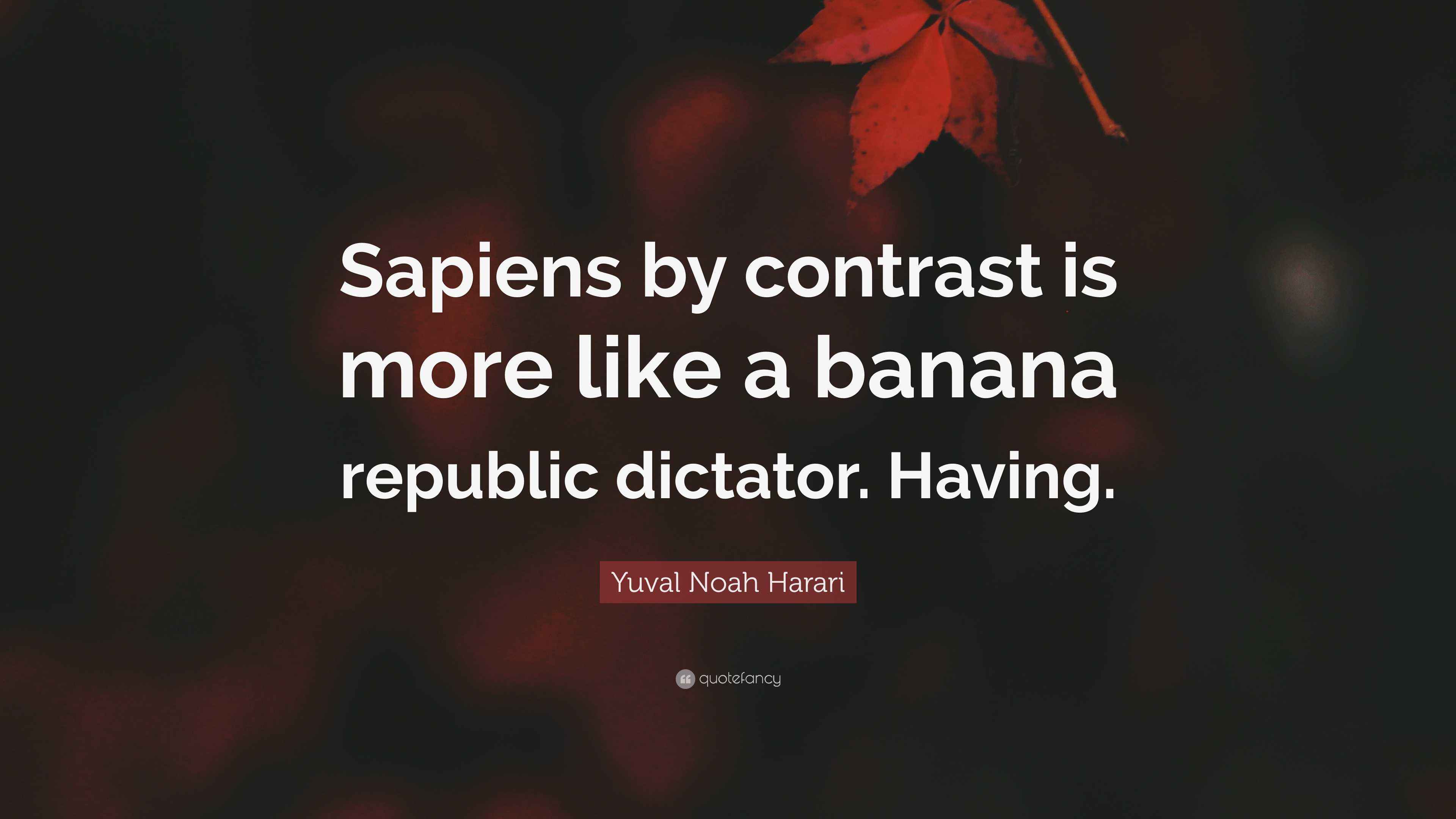 Yuval Noah Harari Quote: “Sapiens by contrast is more like a banana