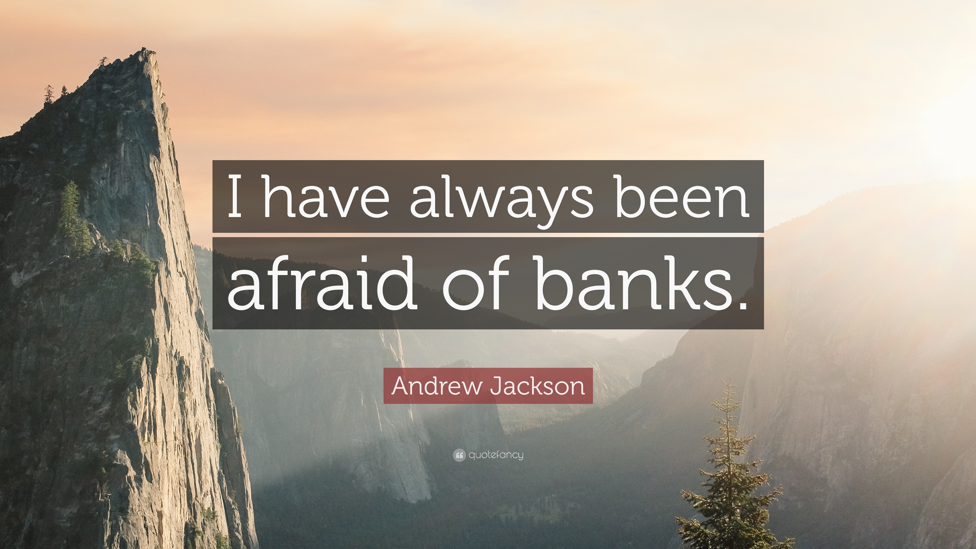 andrew jackson quotes bank