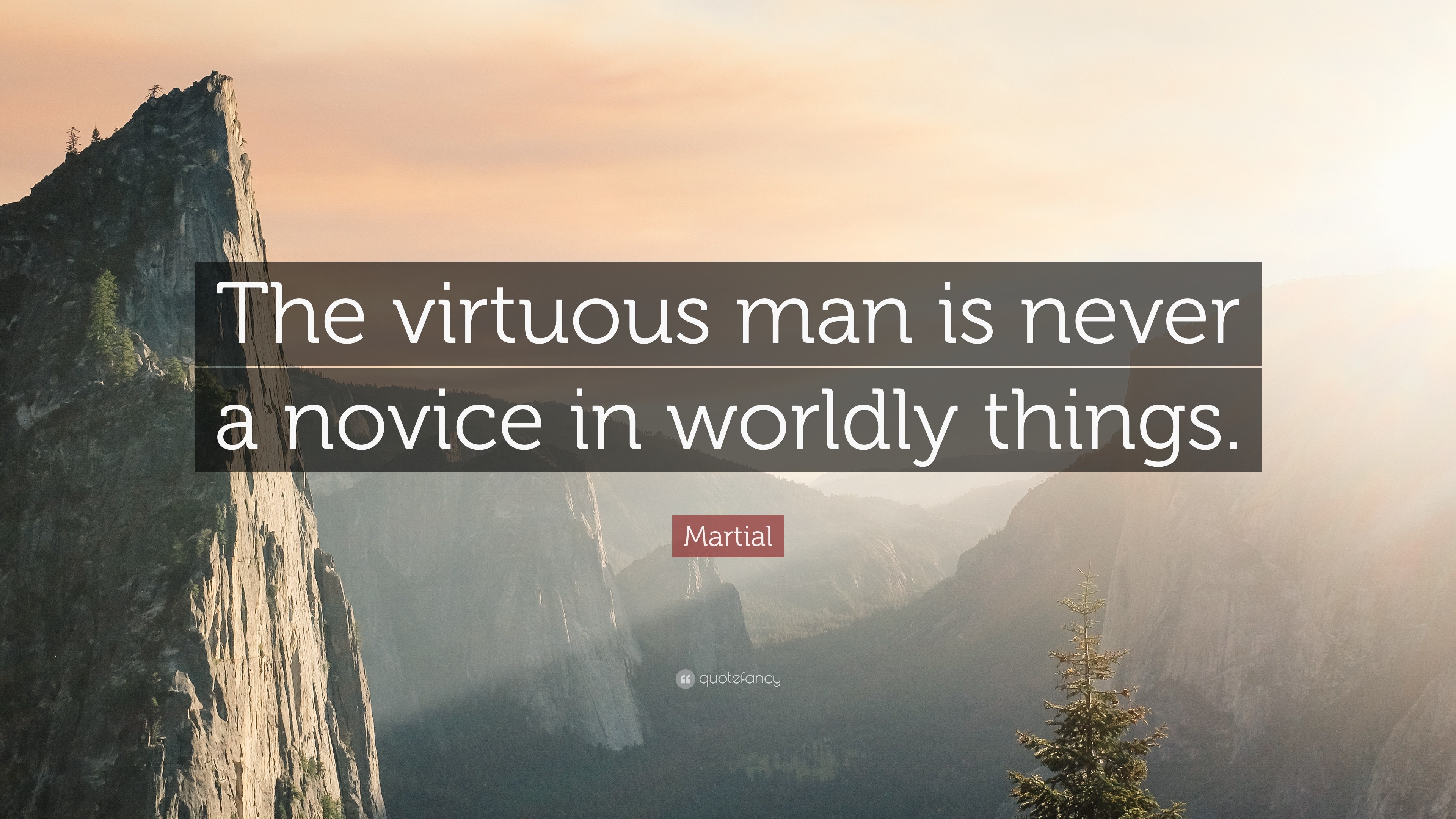 Martial Quote: “The virtuous man is never a novice in worldly things.”