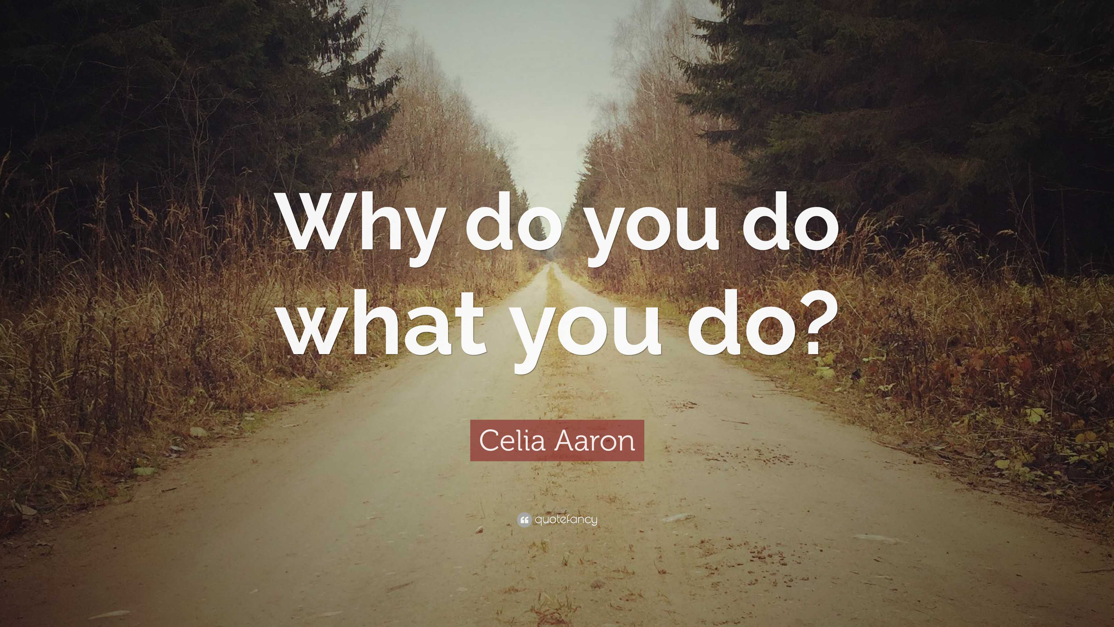 Celia Aaron Quote “why Do You Do What You Do”