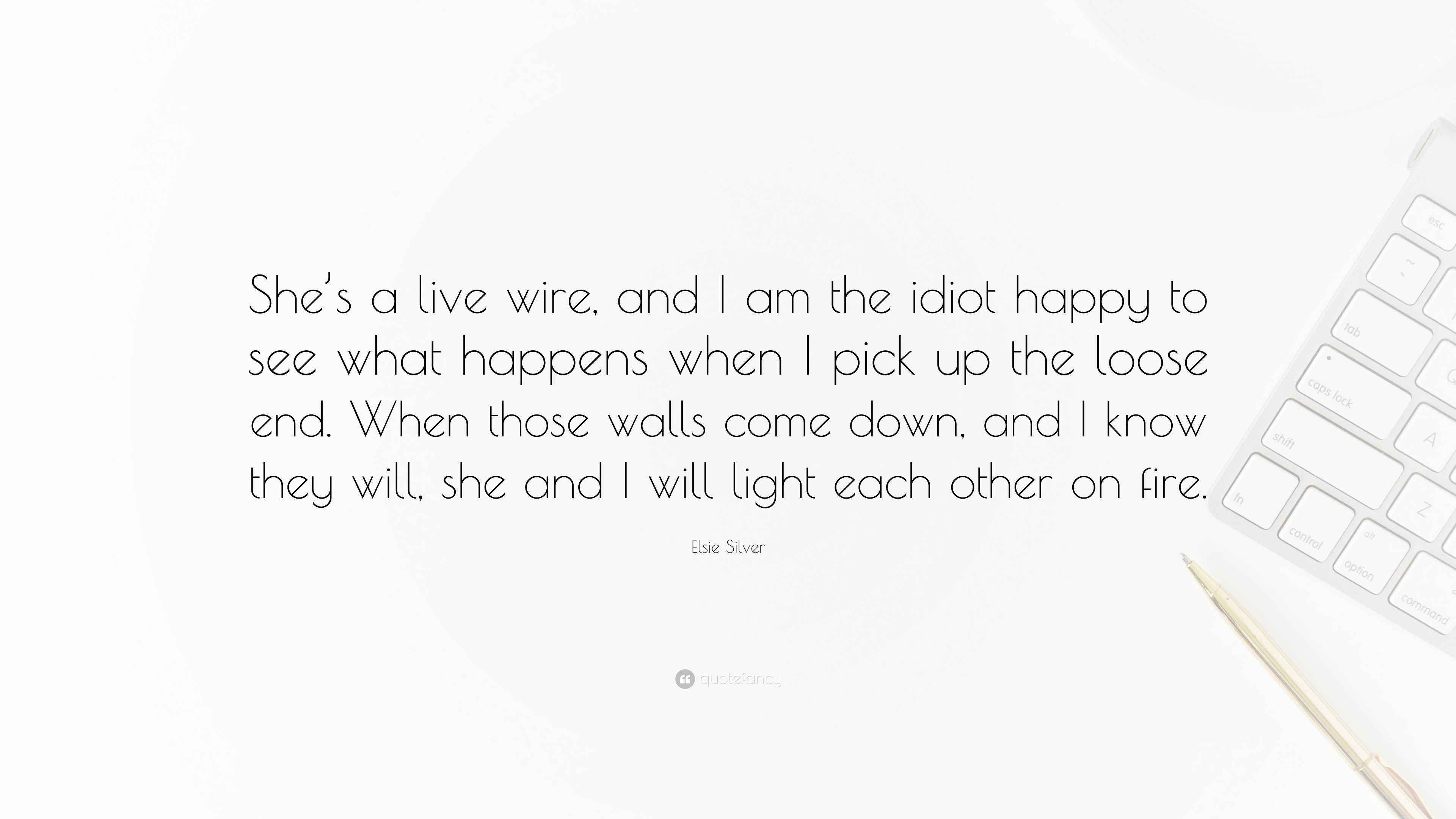 Elsie Silver Quote “She’s a live wire, and I am the idiot happy to see