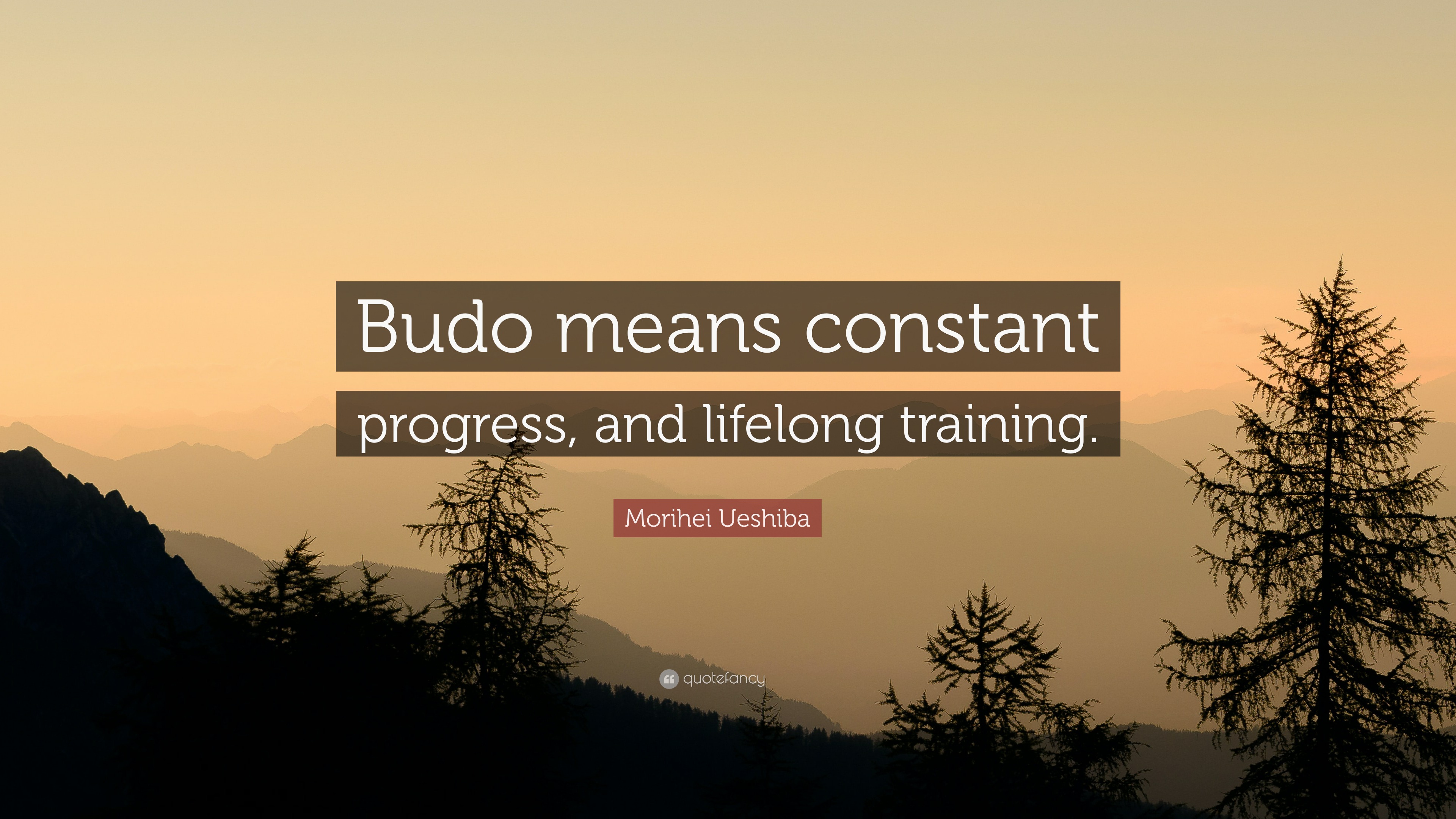 Morihei Ueshiba Quote “Budo means constant progress, and lifelong