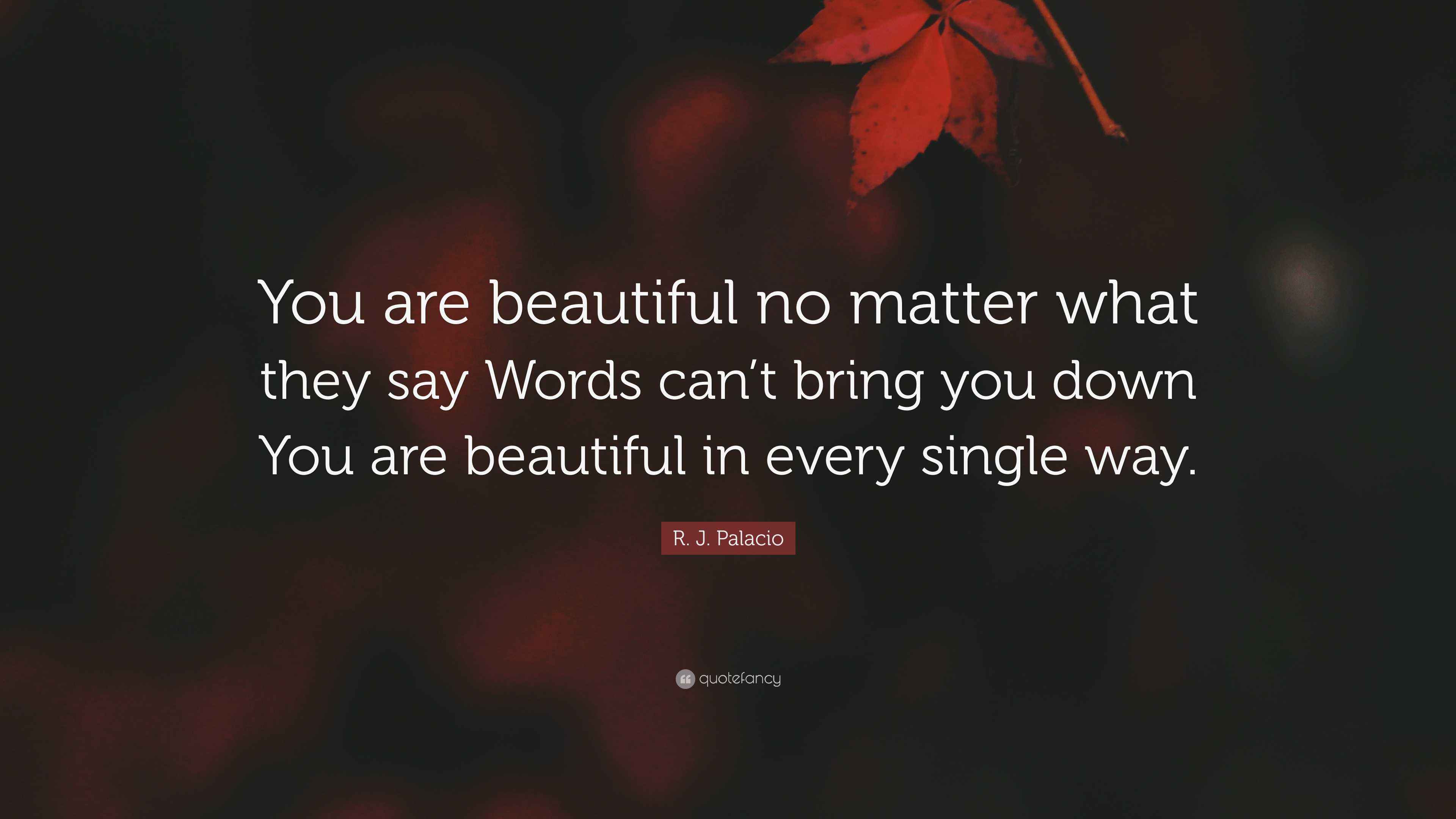 You Are Beautiful No Matter What They Say übersetzung R. J. Palacio Quote: “You are beautiful no matter what they say Words