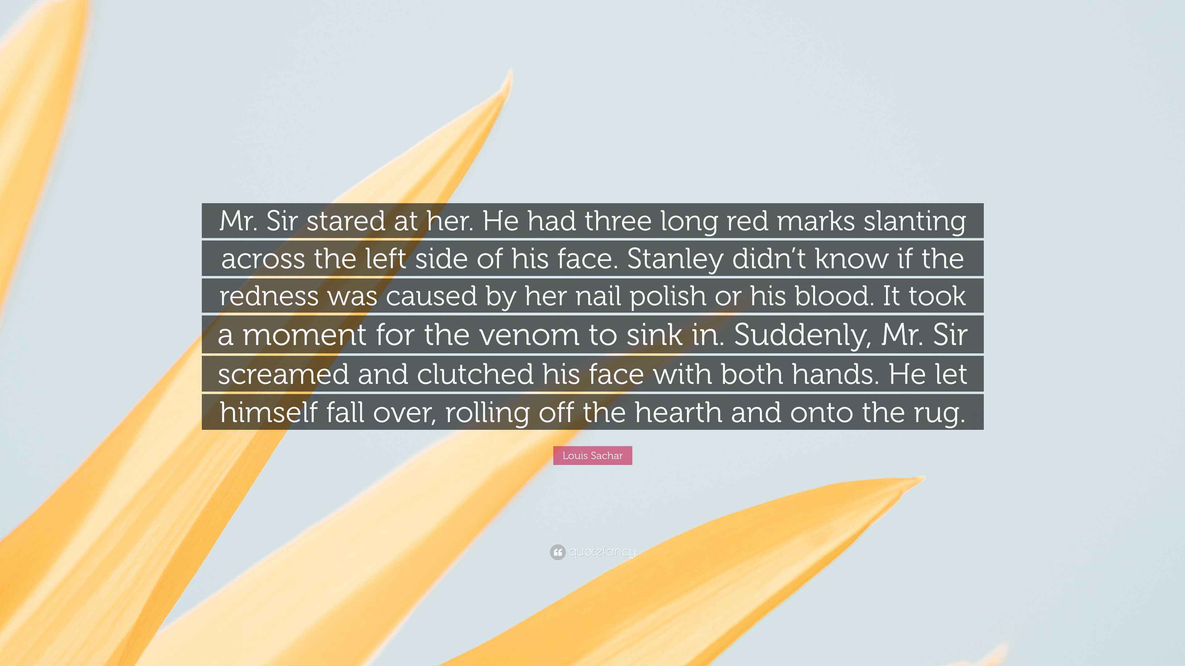 Louis Sachar Quote: “Mr. Sir stared at her. He had three long red marks ...