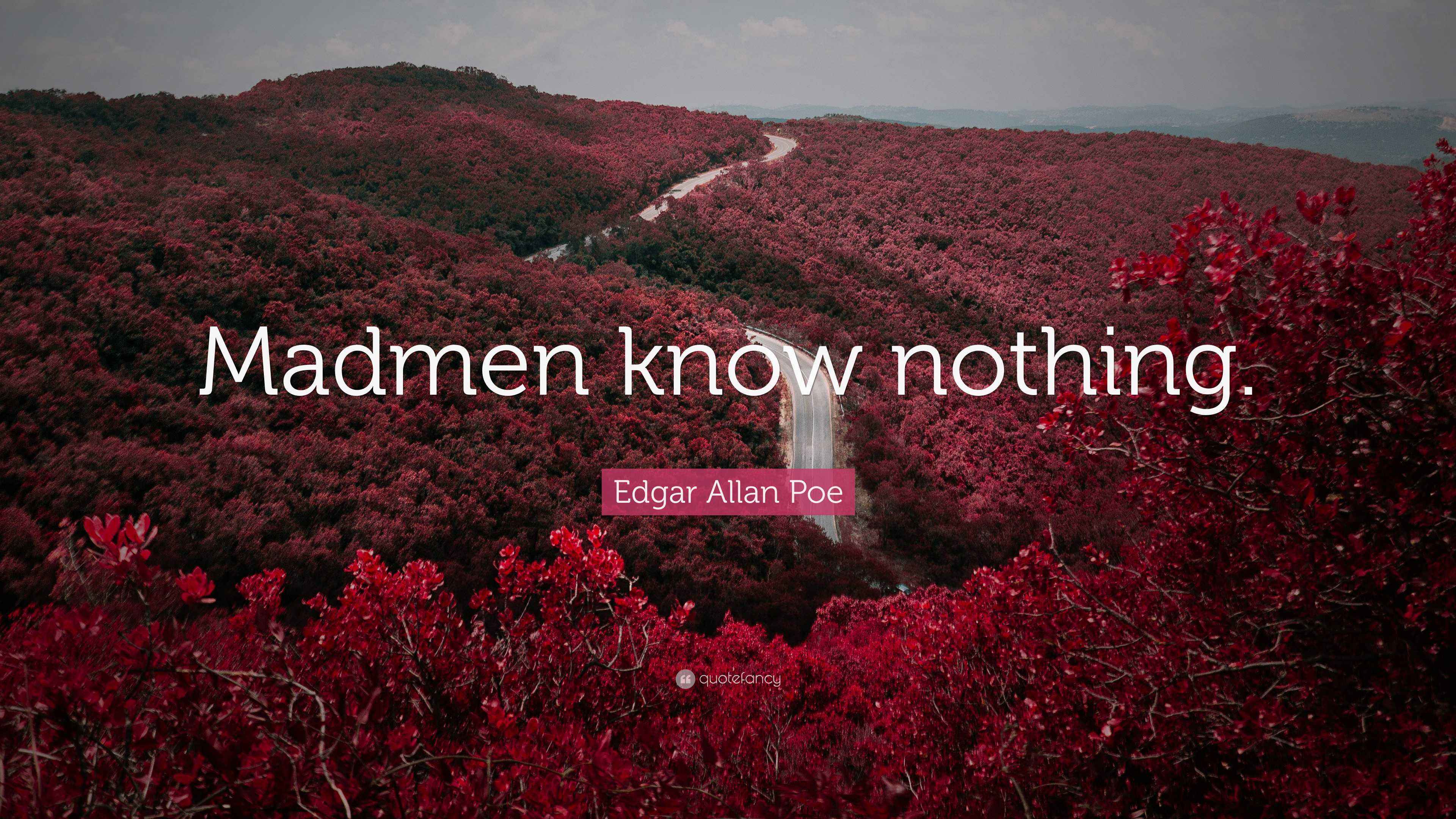 Edgar Allan Poe Quote: “Madmen know nothing.”