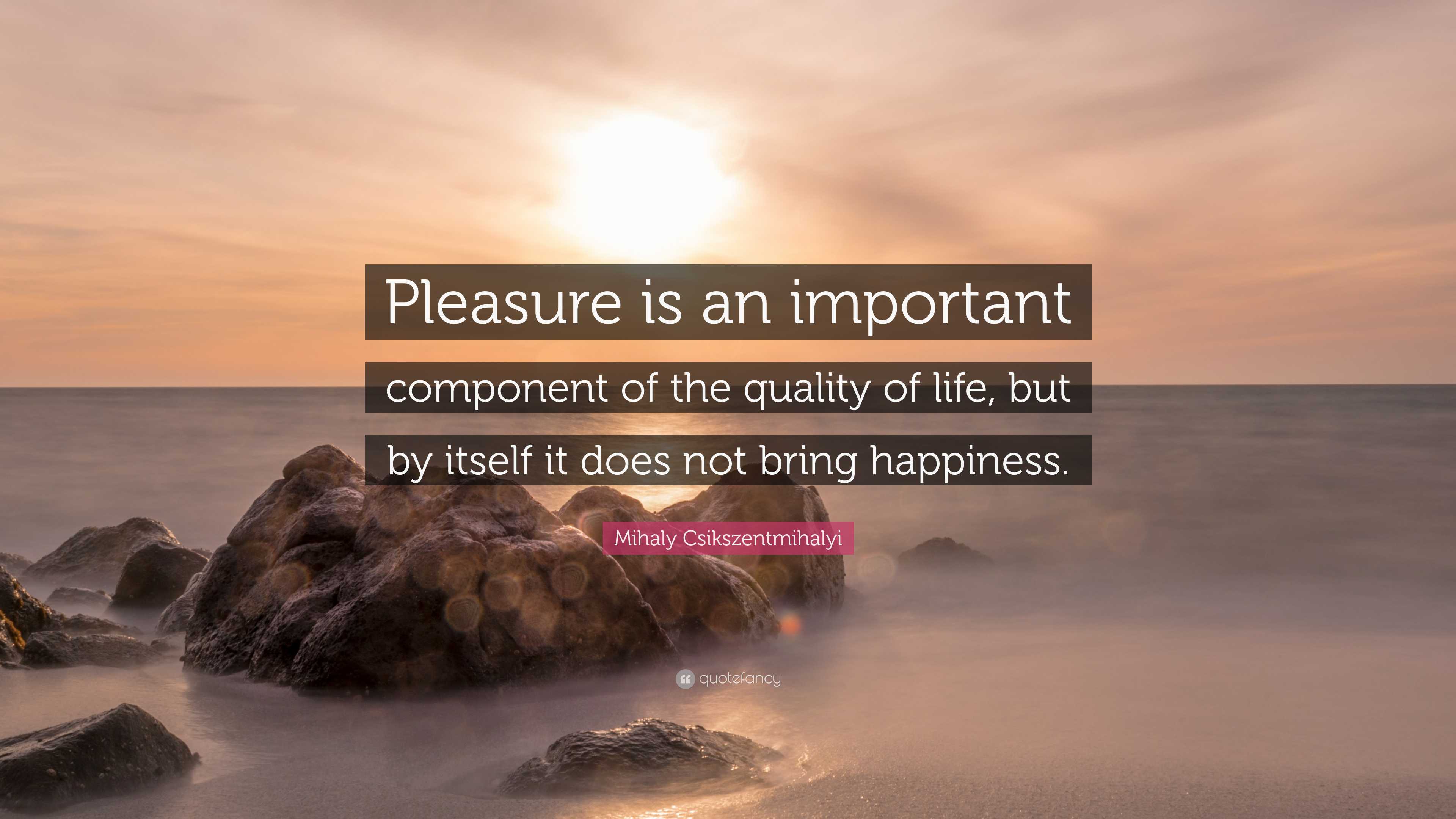 Mihaly Csikszentmihalyi Quote: “Pleasure is an important component of ...