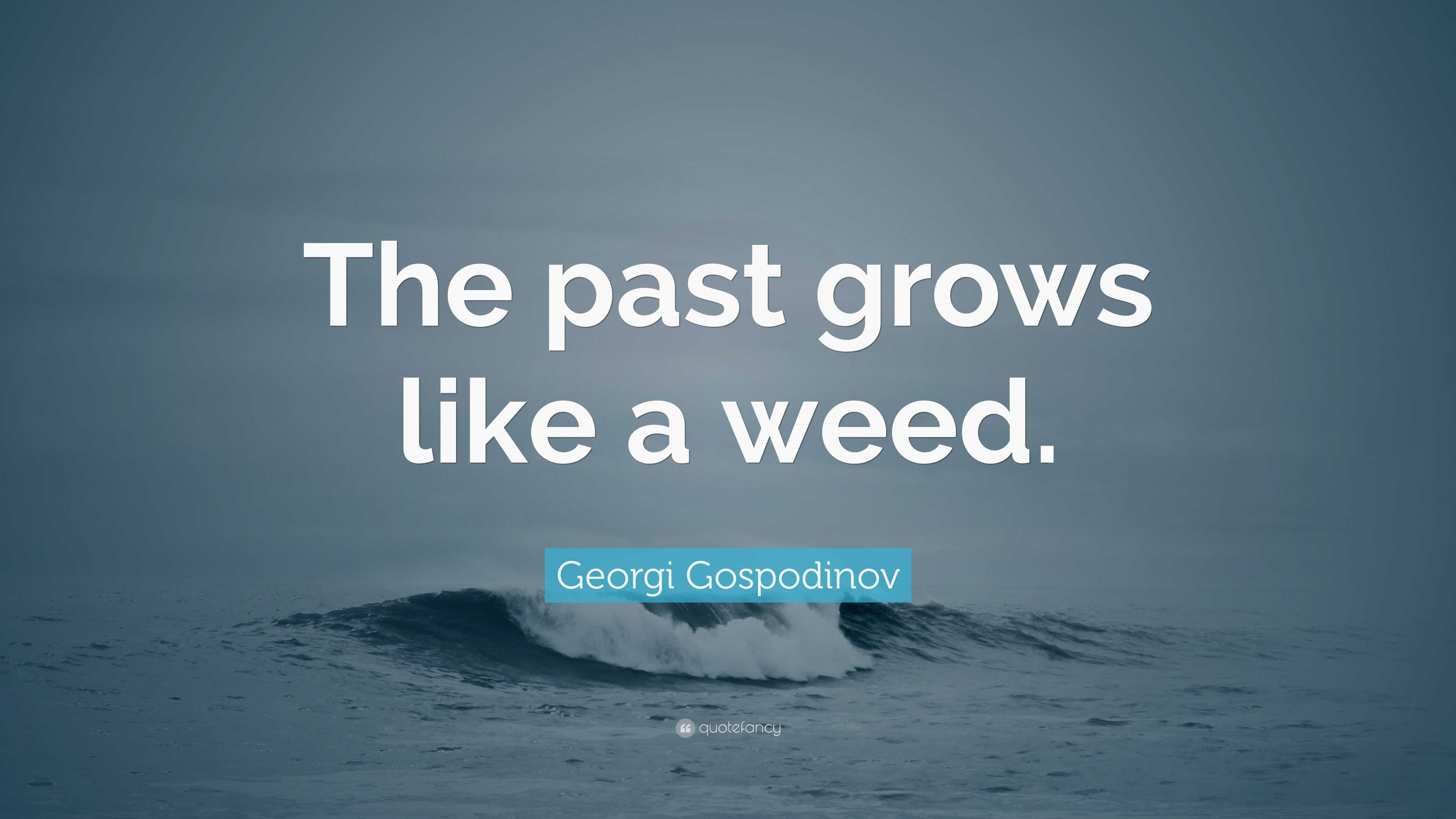 Georgi Gospodinov Quote: “The past grows like a weed.”