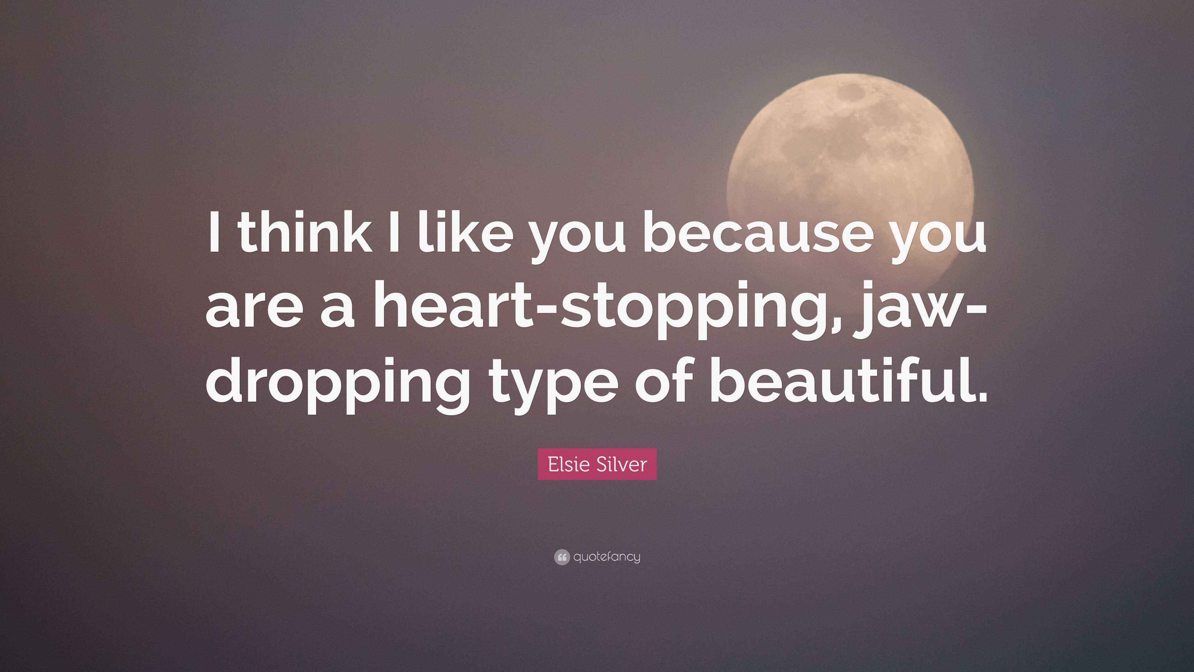 Elsie Silver Quote “I think I like you because you are a heart