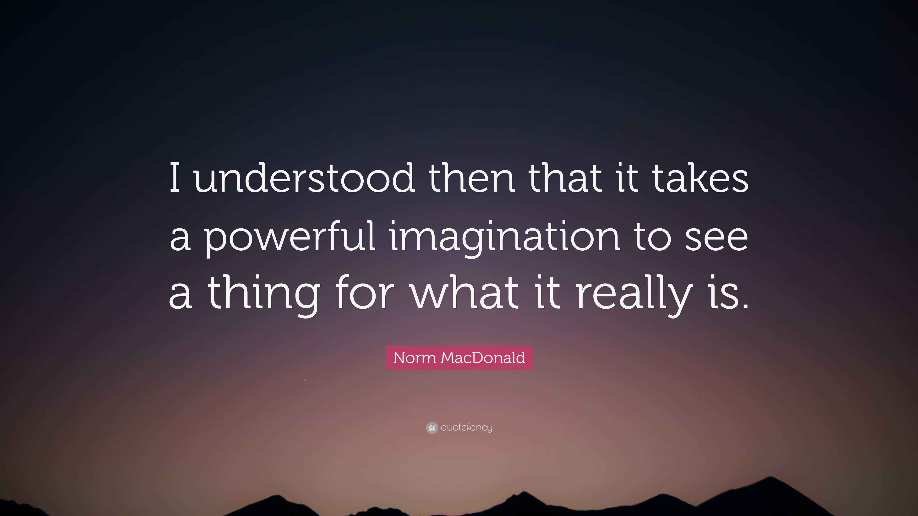 Norm MacDonald Quote “I understood then that it takes a