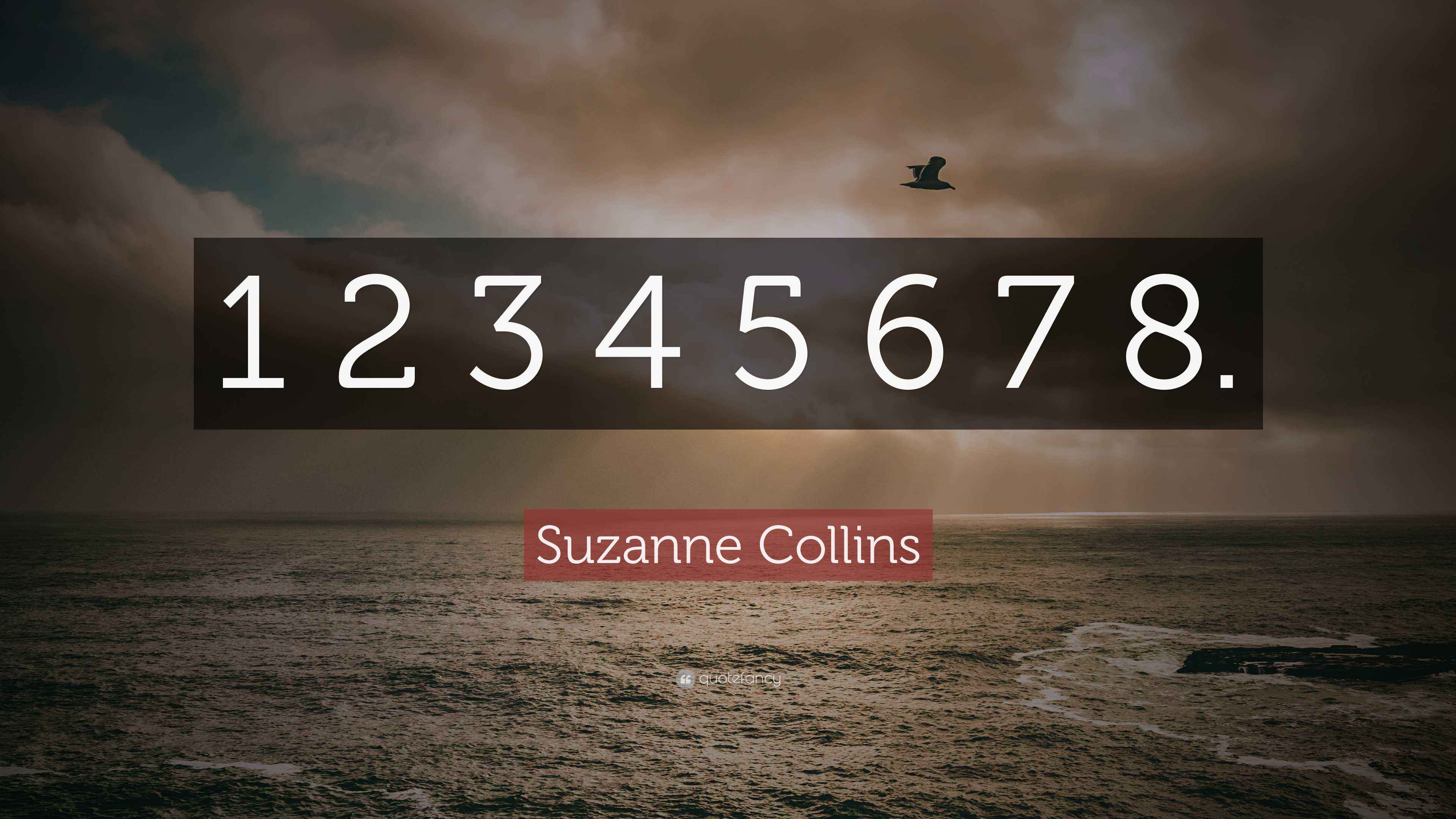 1 1 2 3 4 8 visual data 3