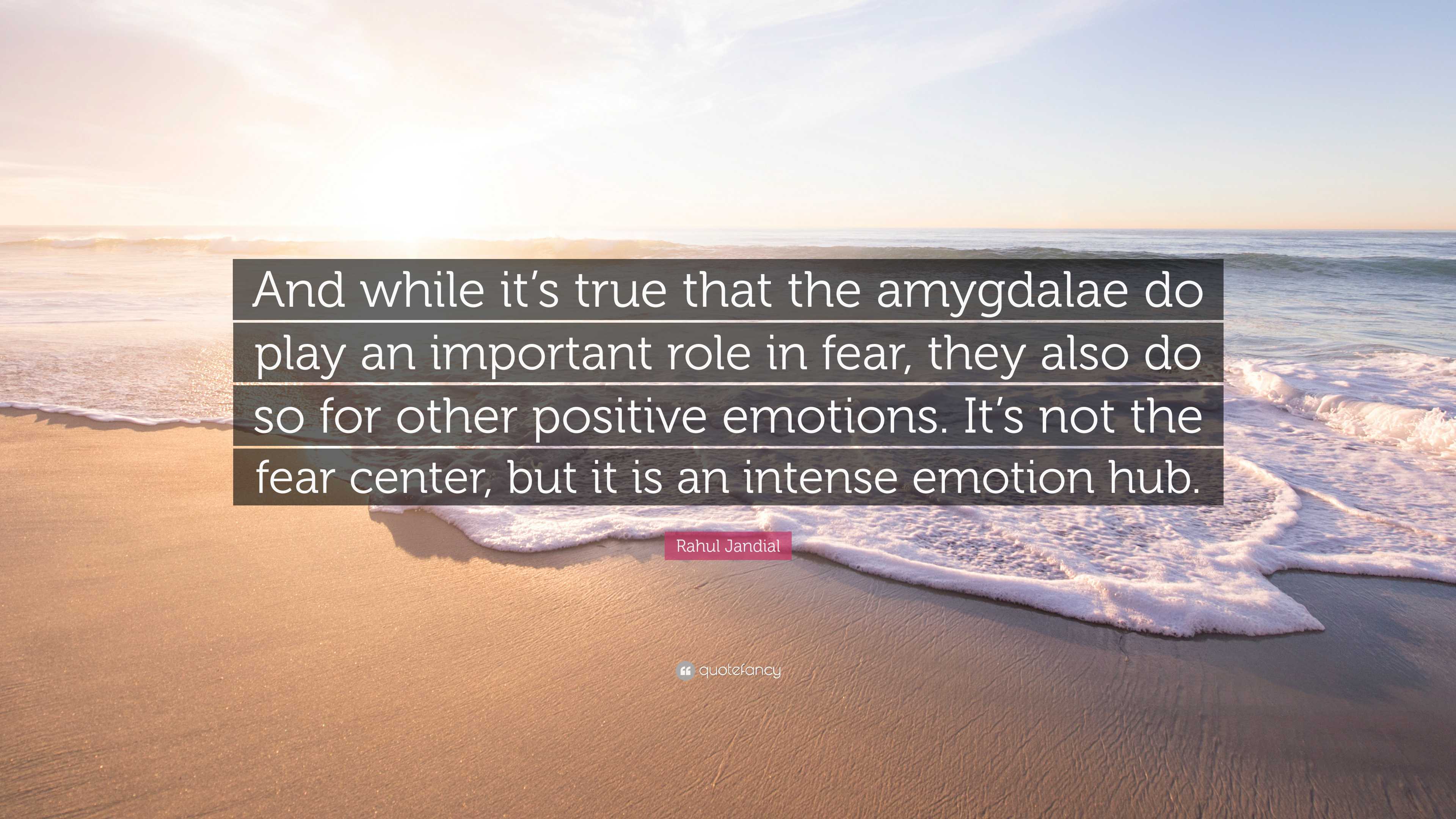 Rahul Jandial Quote: “And while it’s true that the amygdalae do play an ...