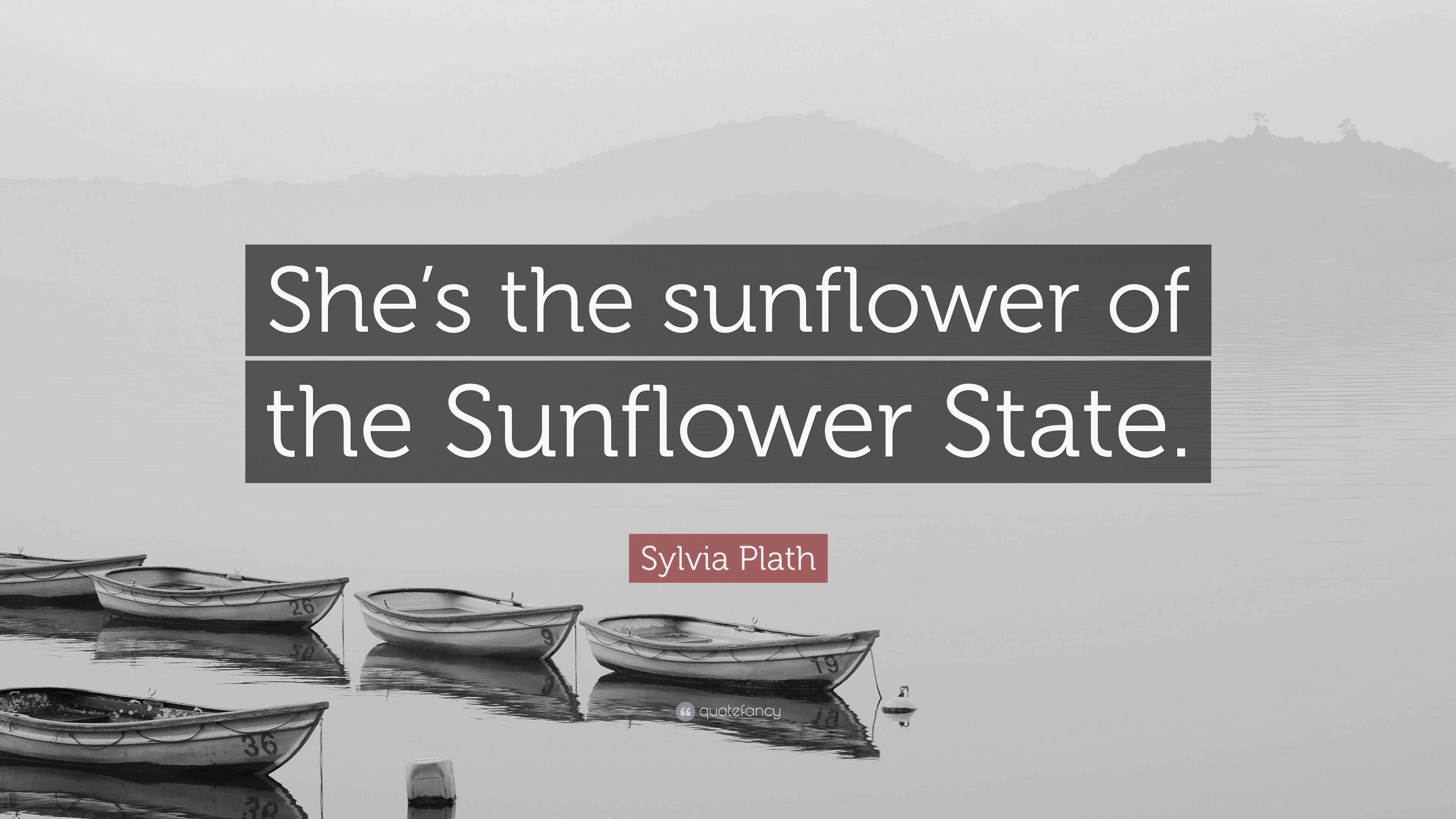 Sylvia Plath Quote: "She's the sunflower of the Sunflower State."