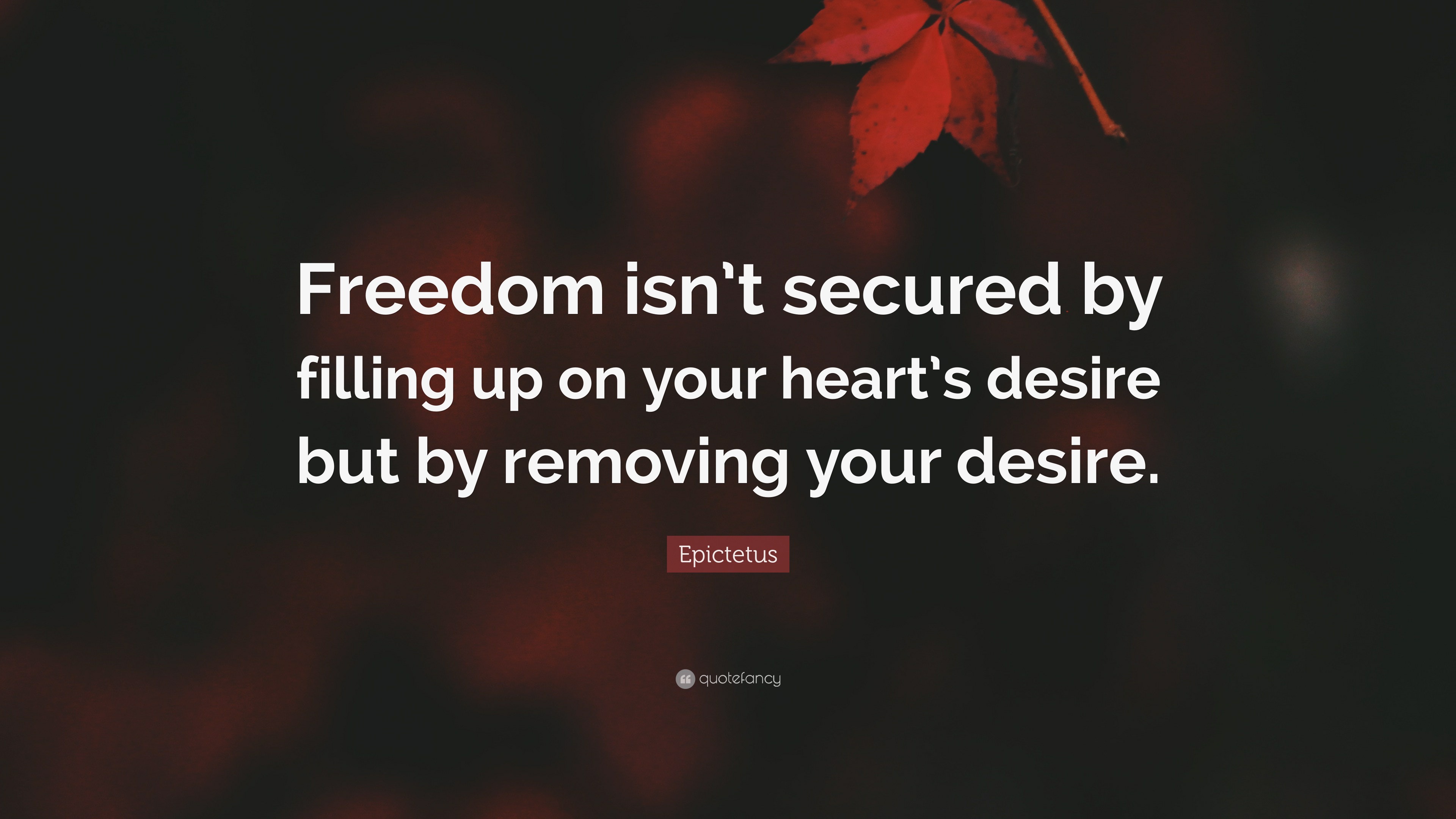 Epictetus Quote: “Freedom isn’t secured by filling up on your heart’s ...