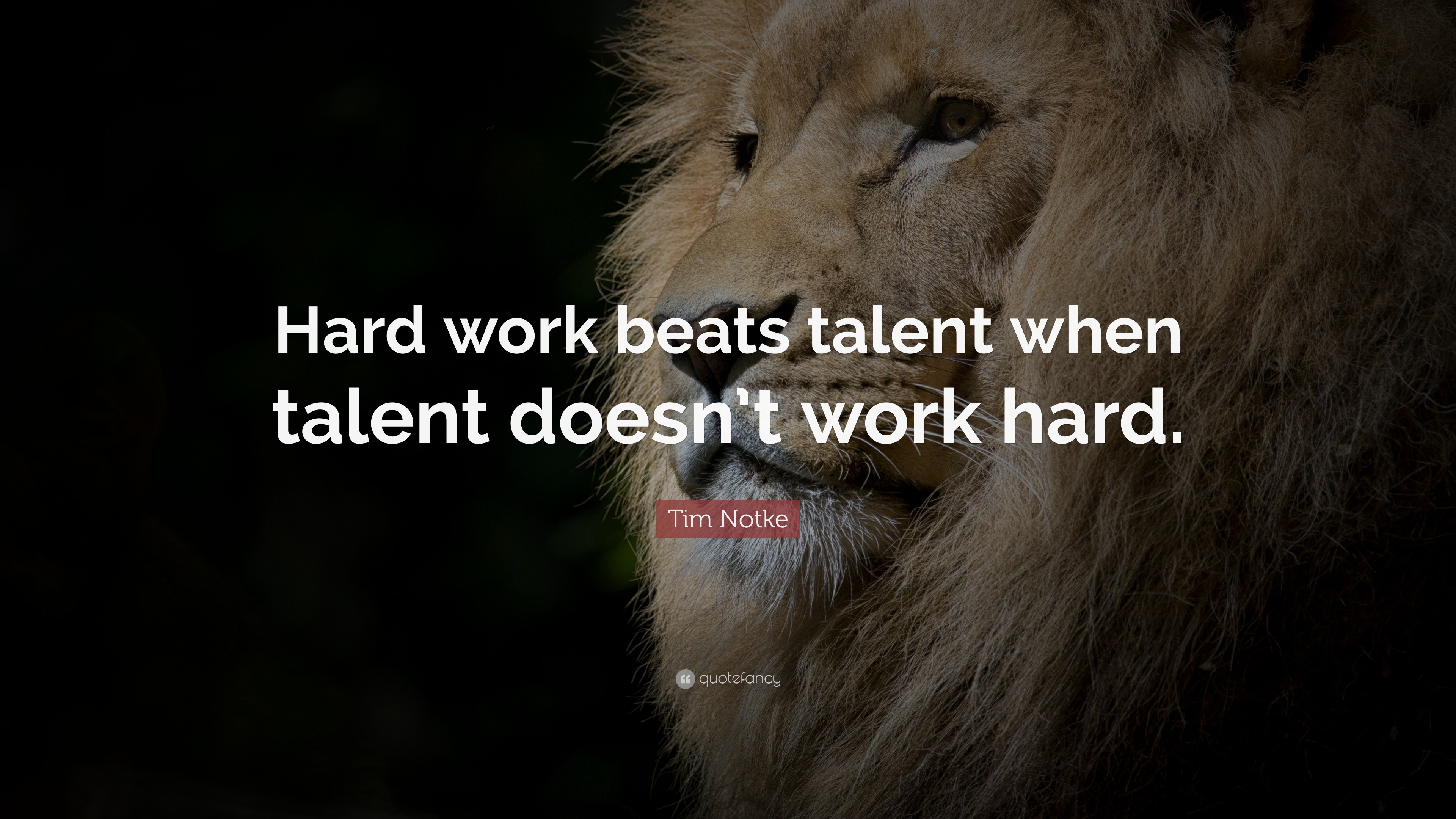 Tim Notke Quote “hard Work Beats Talent When Talent Doesnt Work Hard” 8878