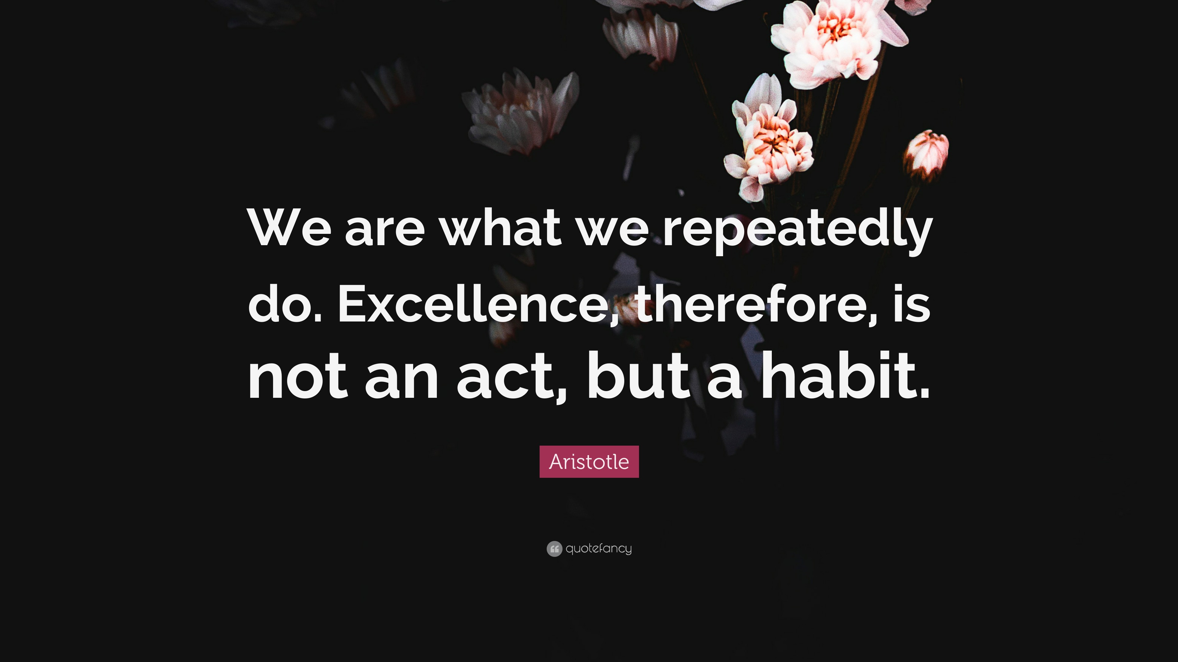 Aristotle Quote: “We are what we repeatedly do. Excellence, therefore ...